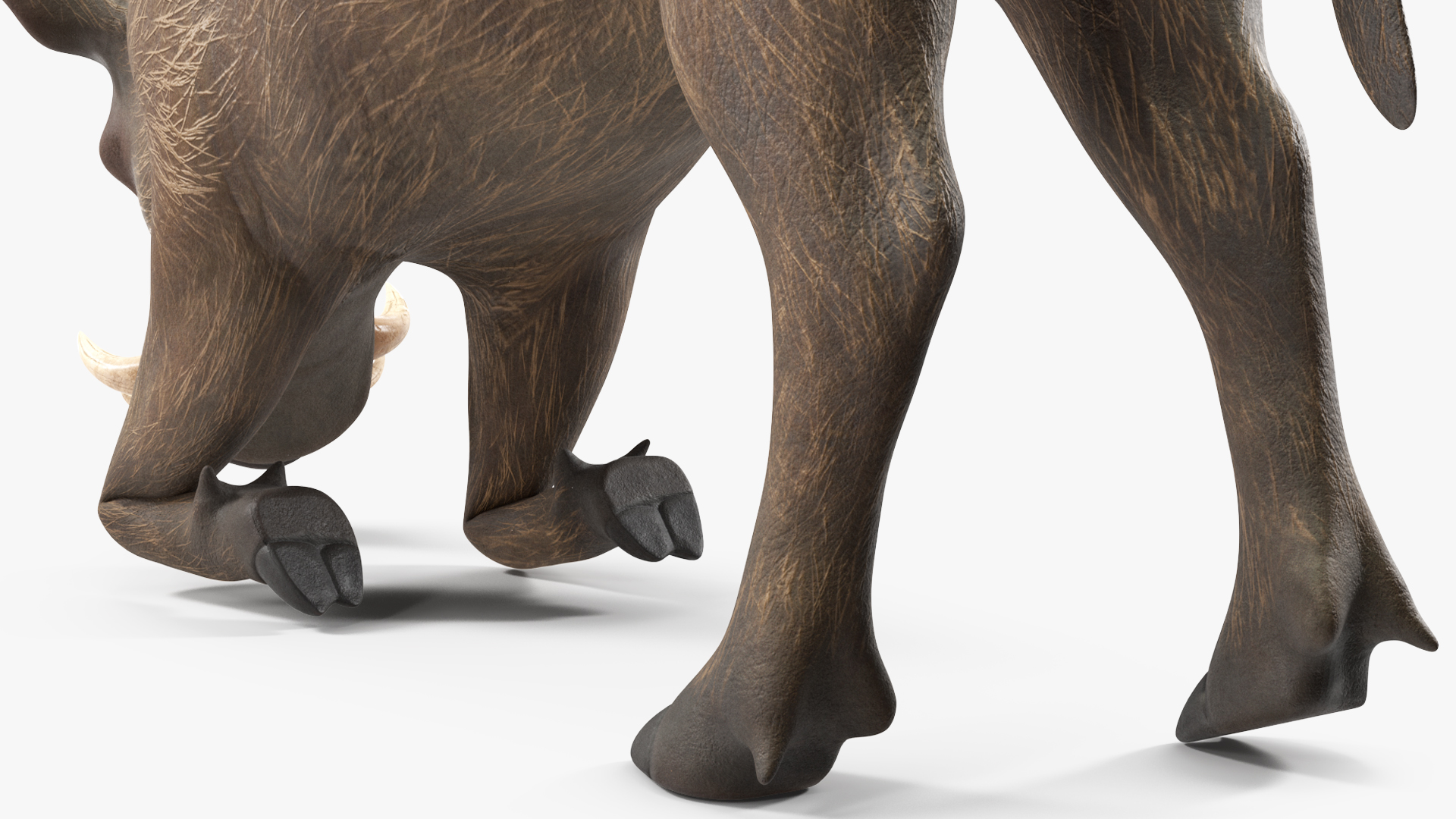 3D African Wild Boar Kneeling Pose
