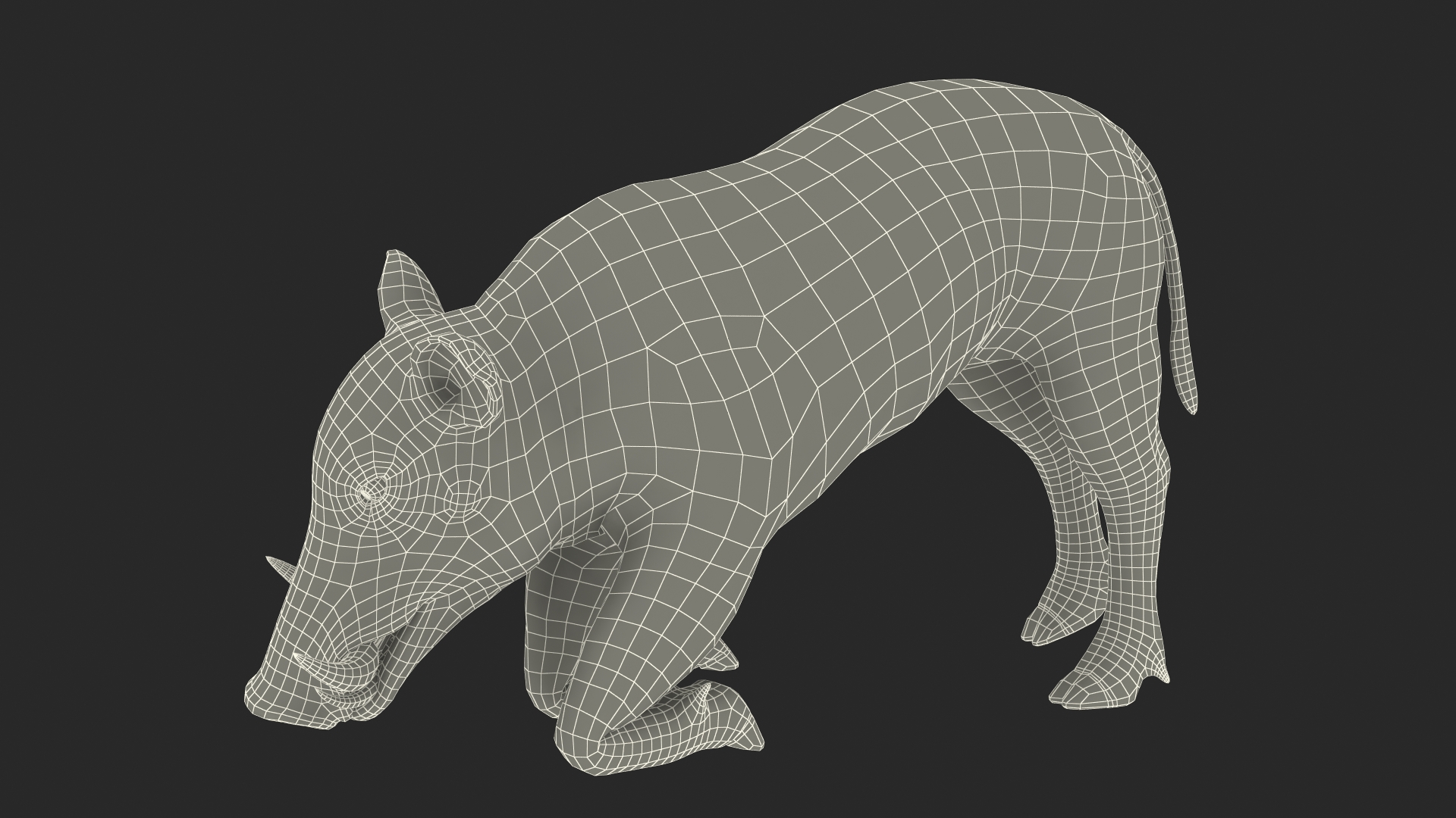 3D African Wild Boar Kneeling Pose