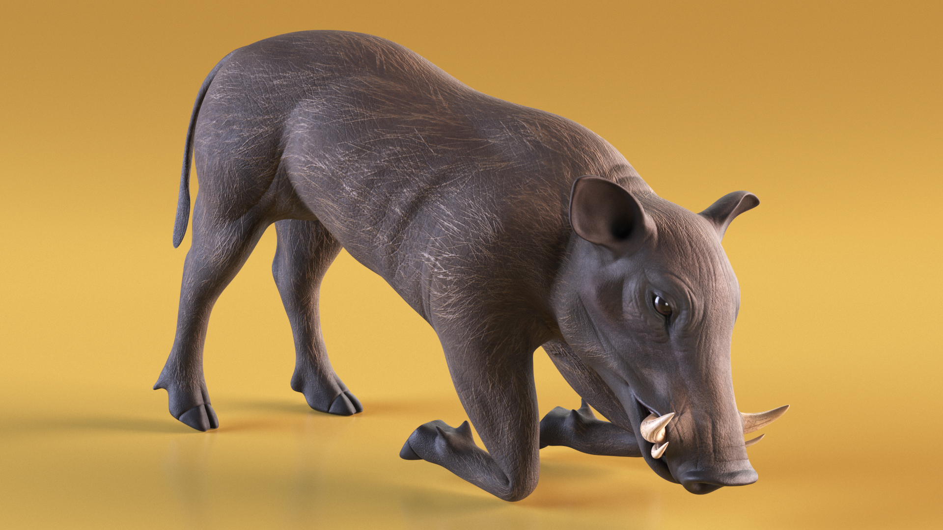 3D African Wild Boar Kneeling Pose