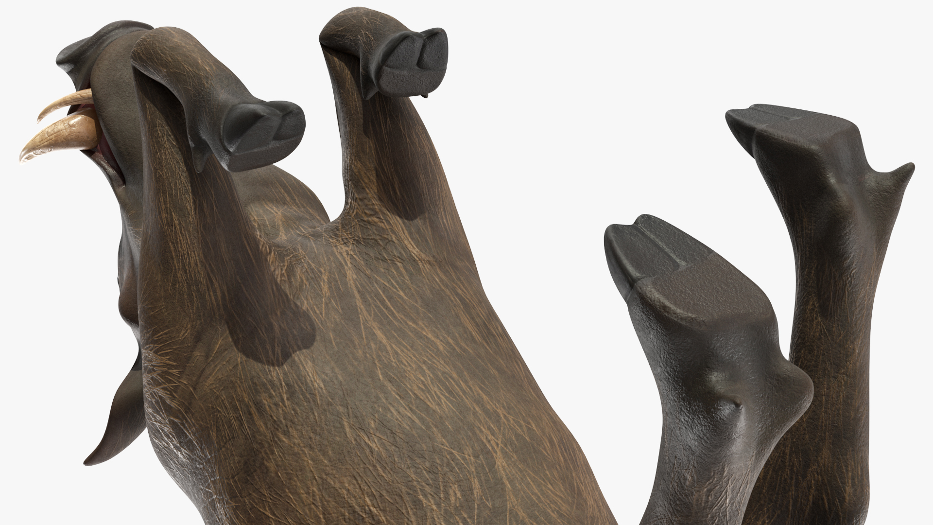 3D African Wild Boar Kneeling Pose
