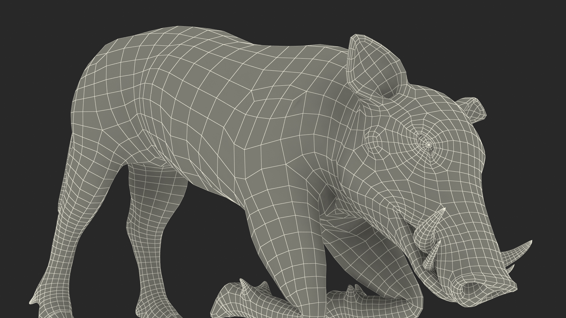 3D African Wild Boar Kneeling Pose
