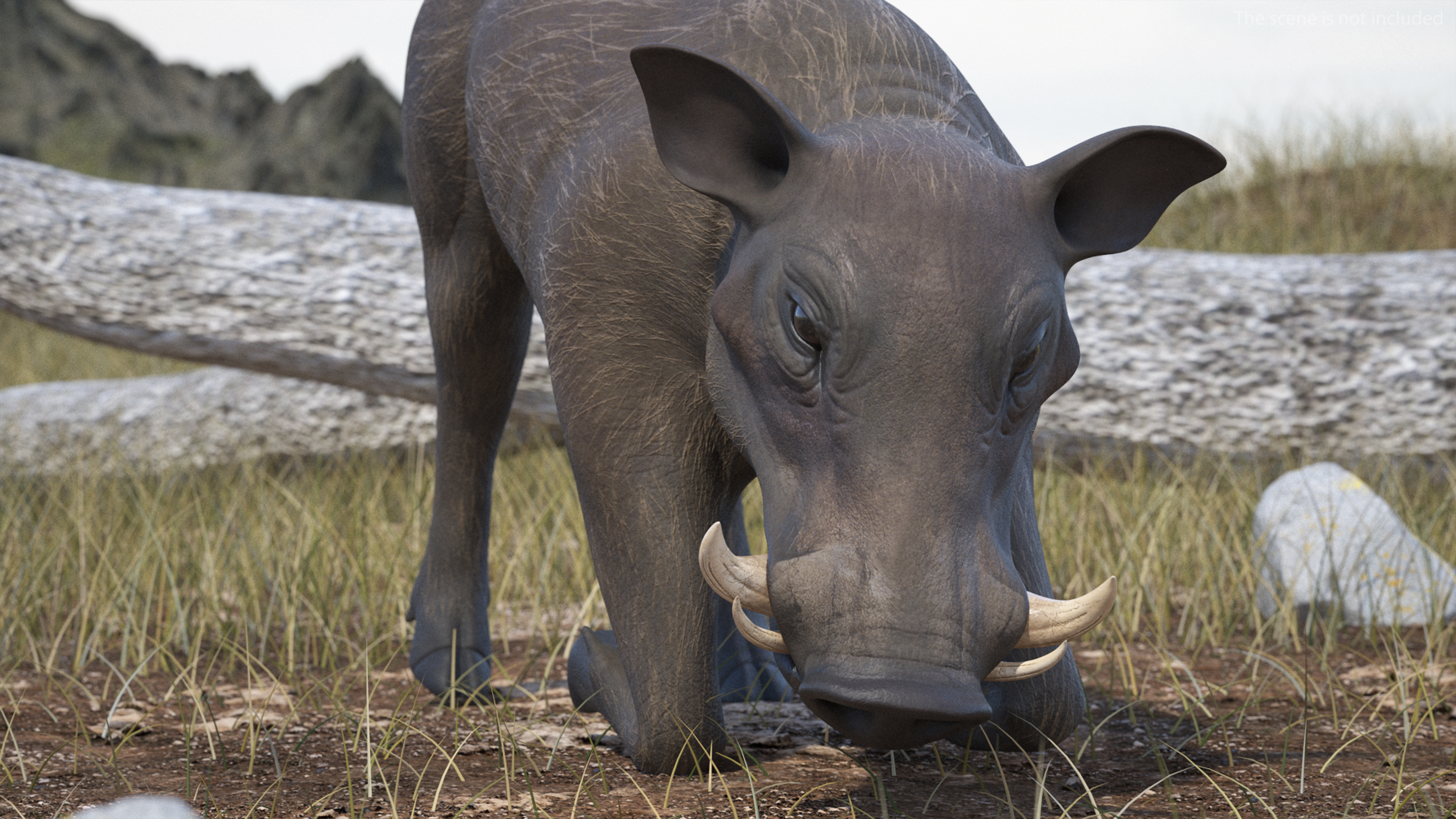 3D African Wild Boar Kneeling Pose