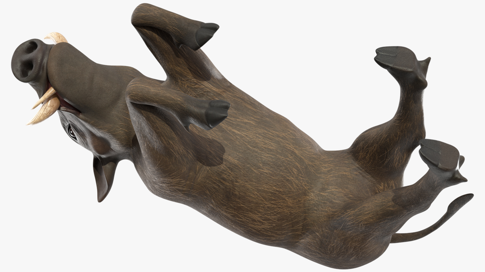 3D African Wild Boar Kneeling Pose