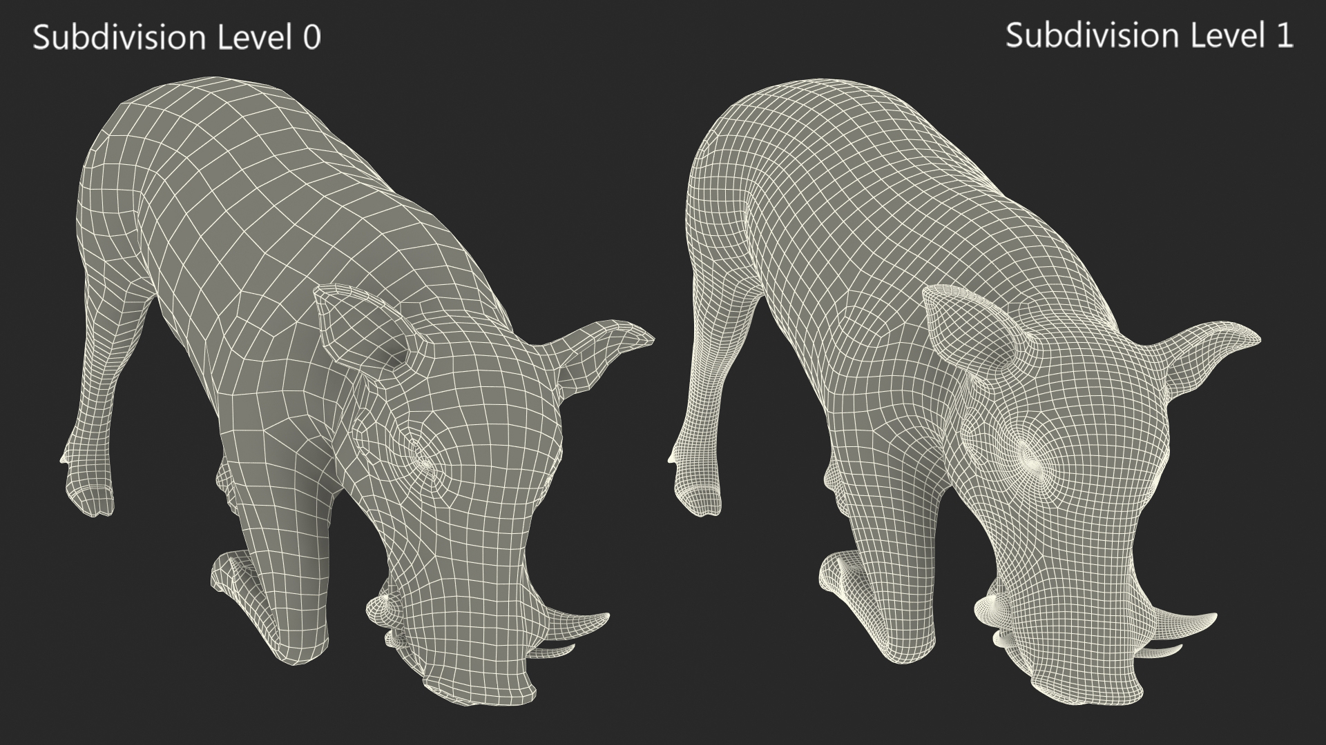 3D African Wild Boar Kneeling Pose