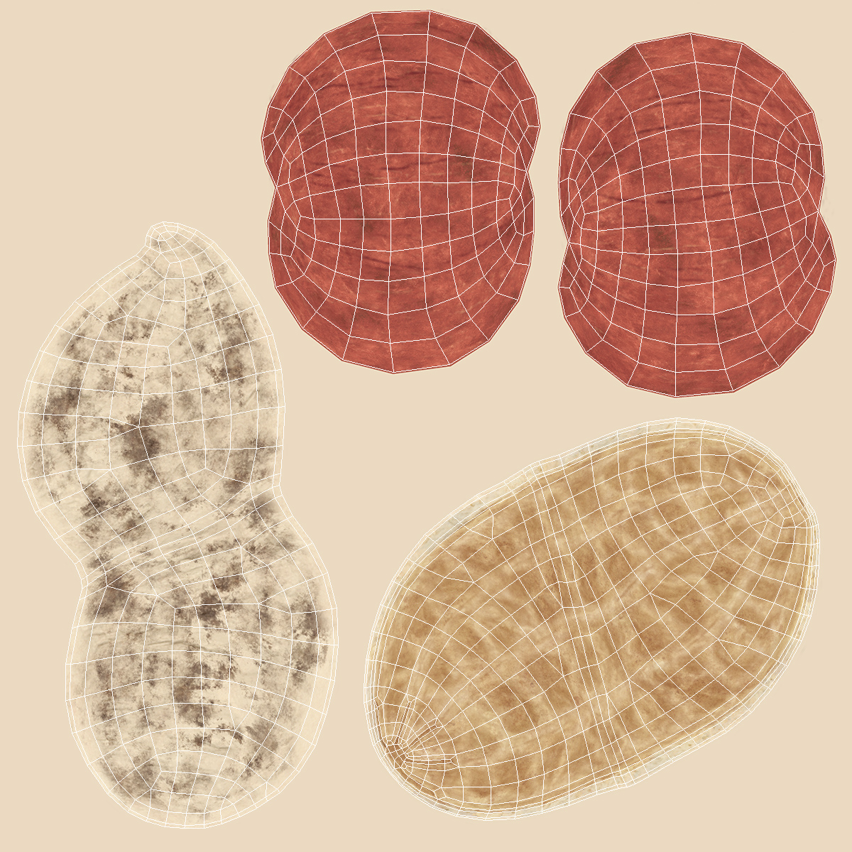 3D model Peeled Peanuts with Shell