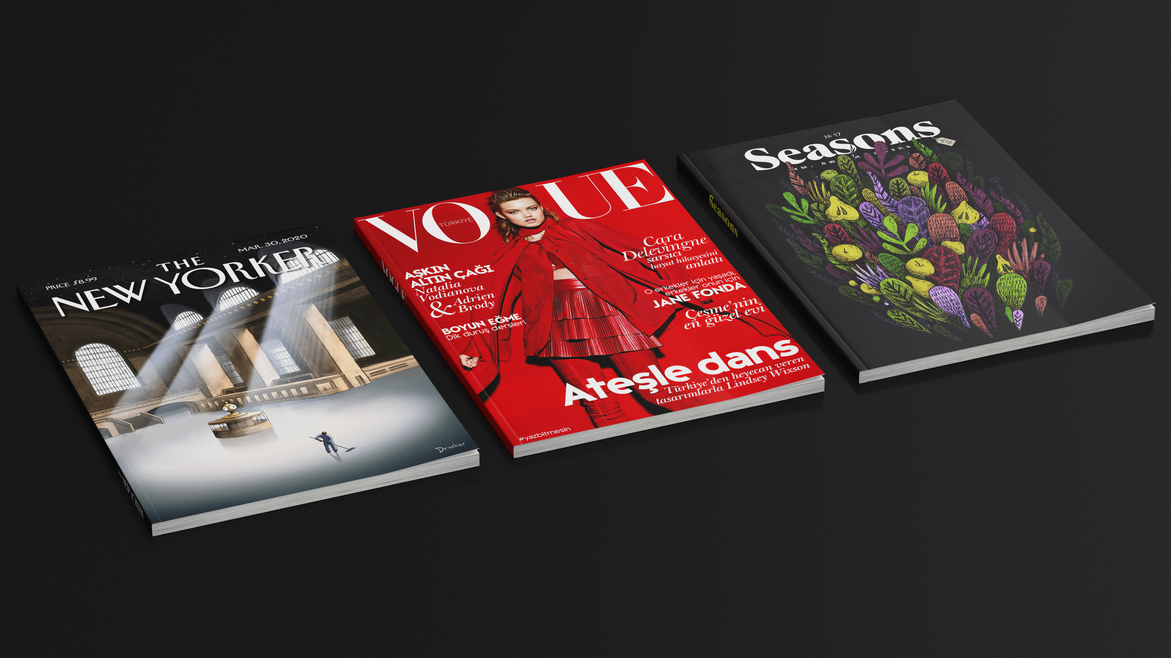 3D New Yorker Vogue and Seasons Magazines model