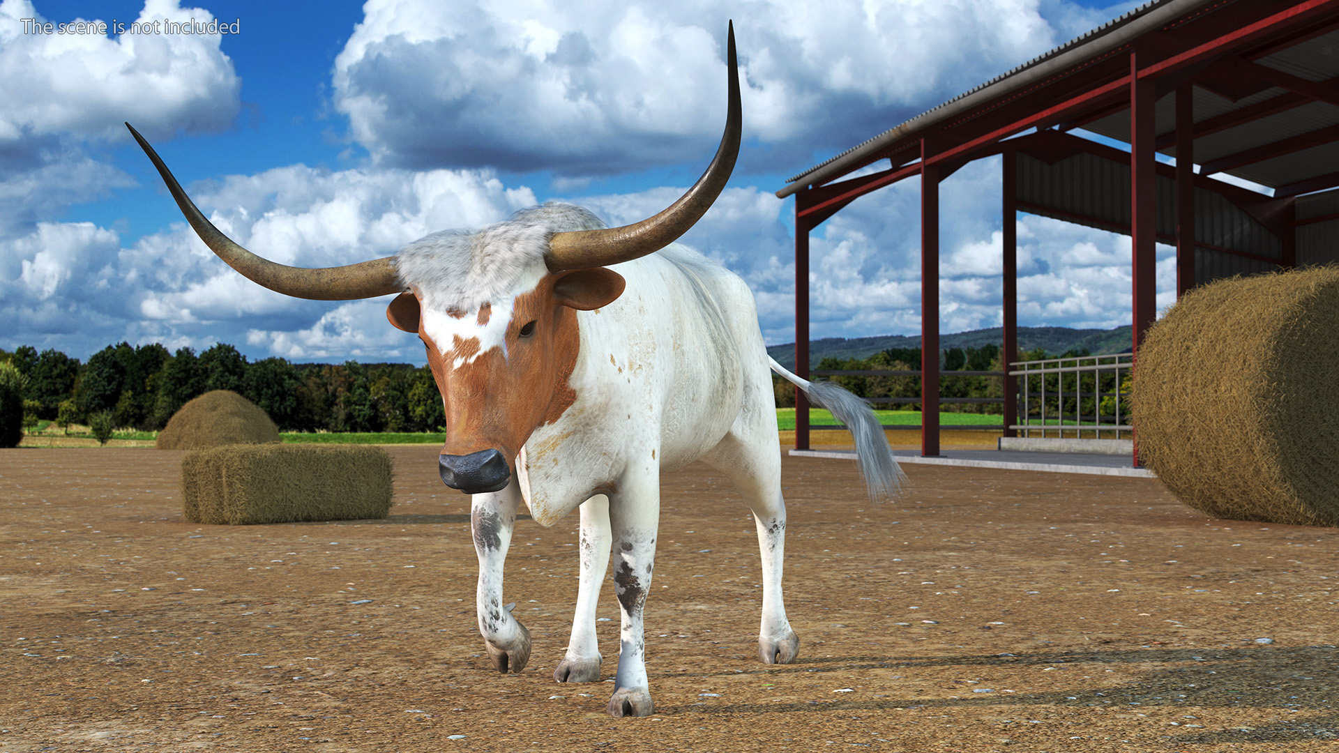 Texas Longhorn White Color Rigged for Maya 3D