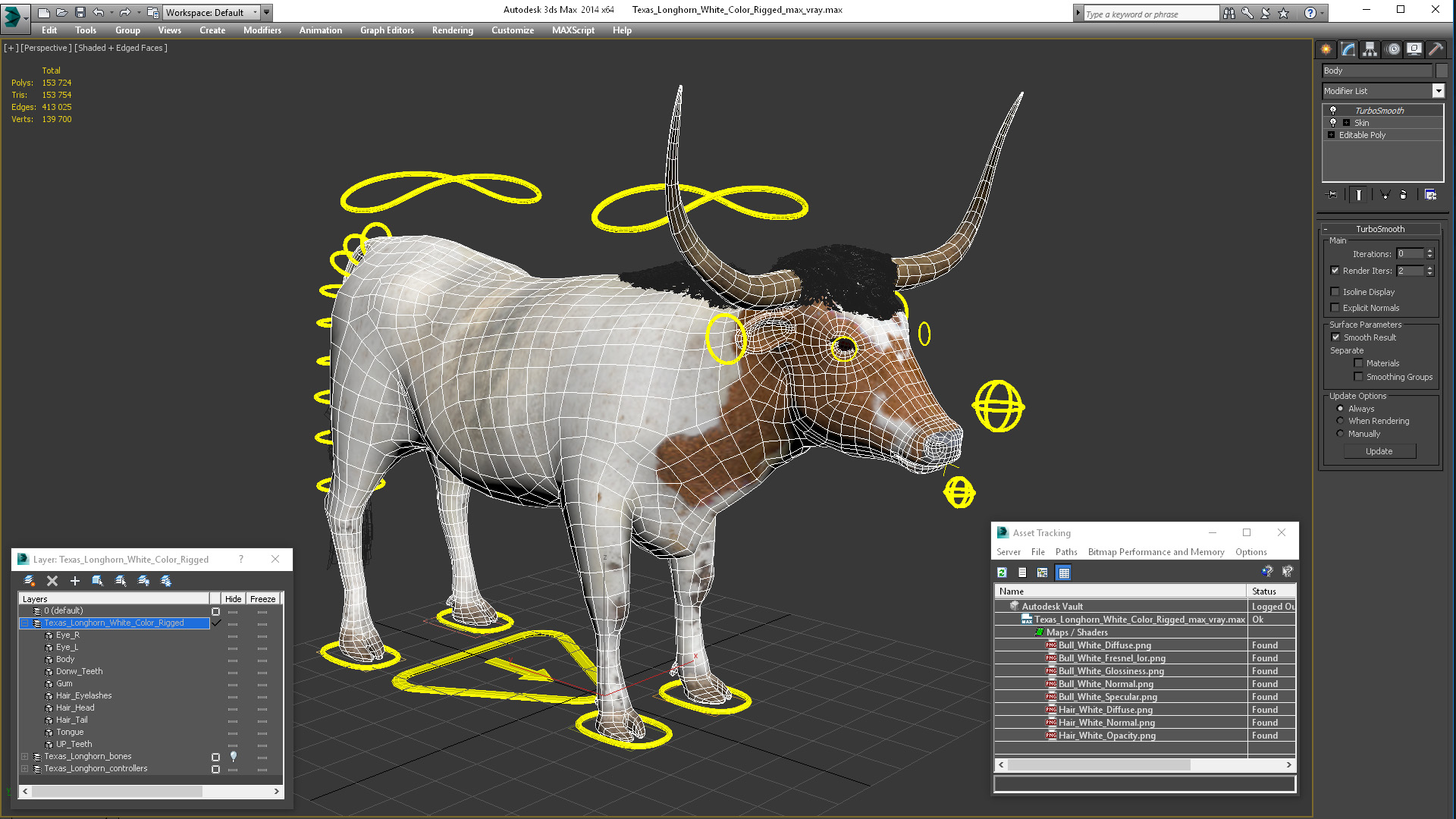 Texas Longhorn White Color Rigged for Maya 3D