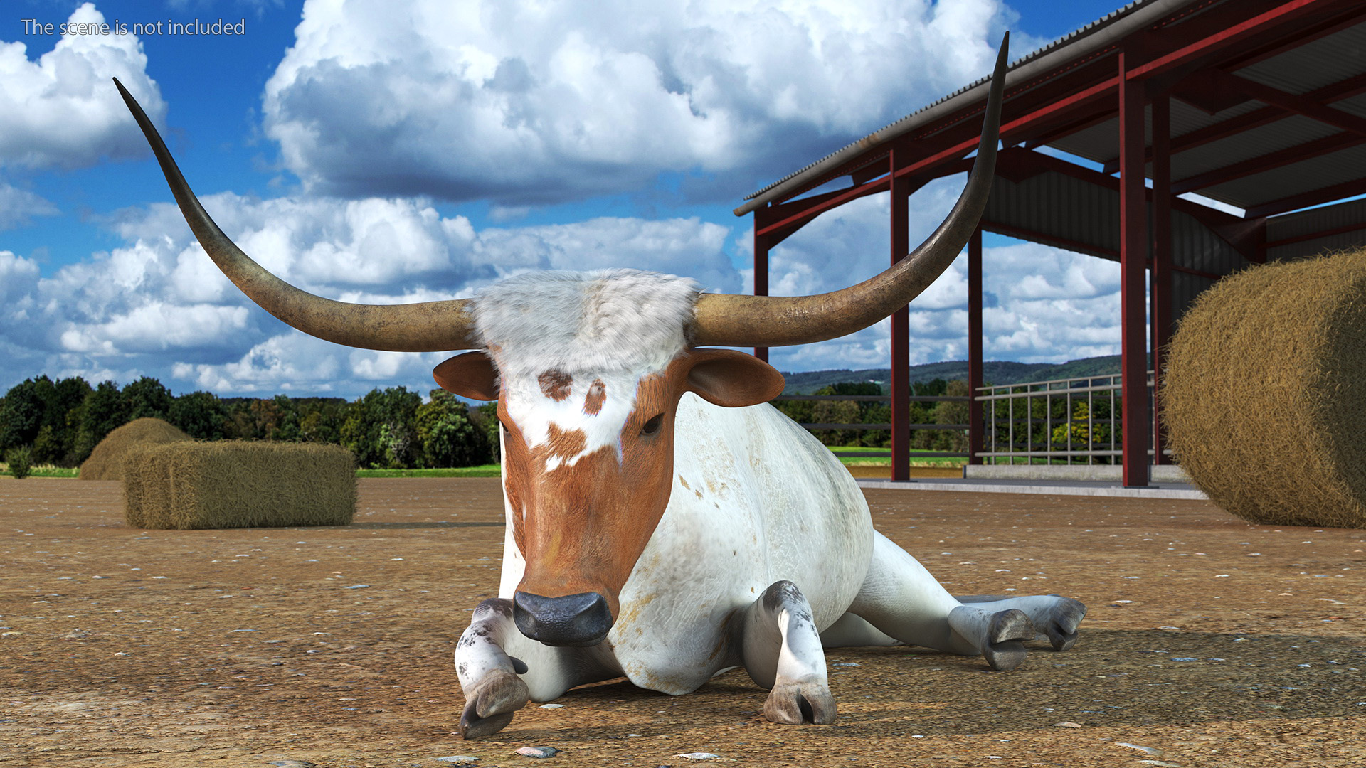 Texas Longhorn White Color Rigged for Maya 3D