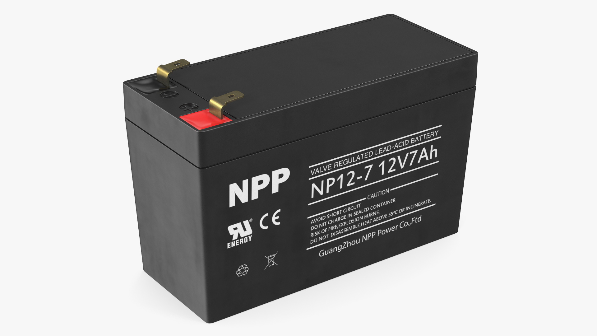 3D NPP Lead Acid Battery