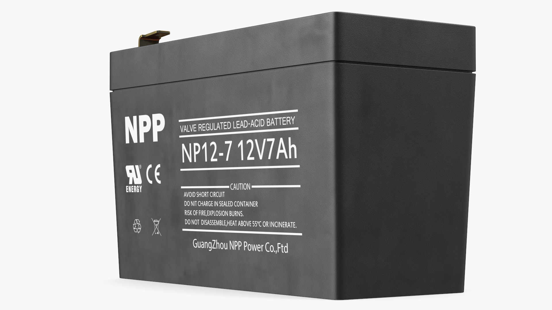 3D NPP Lead Acid Battery