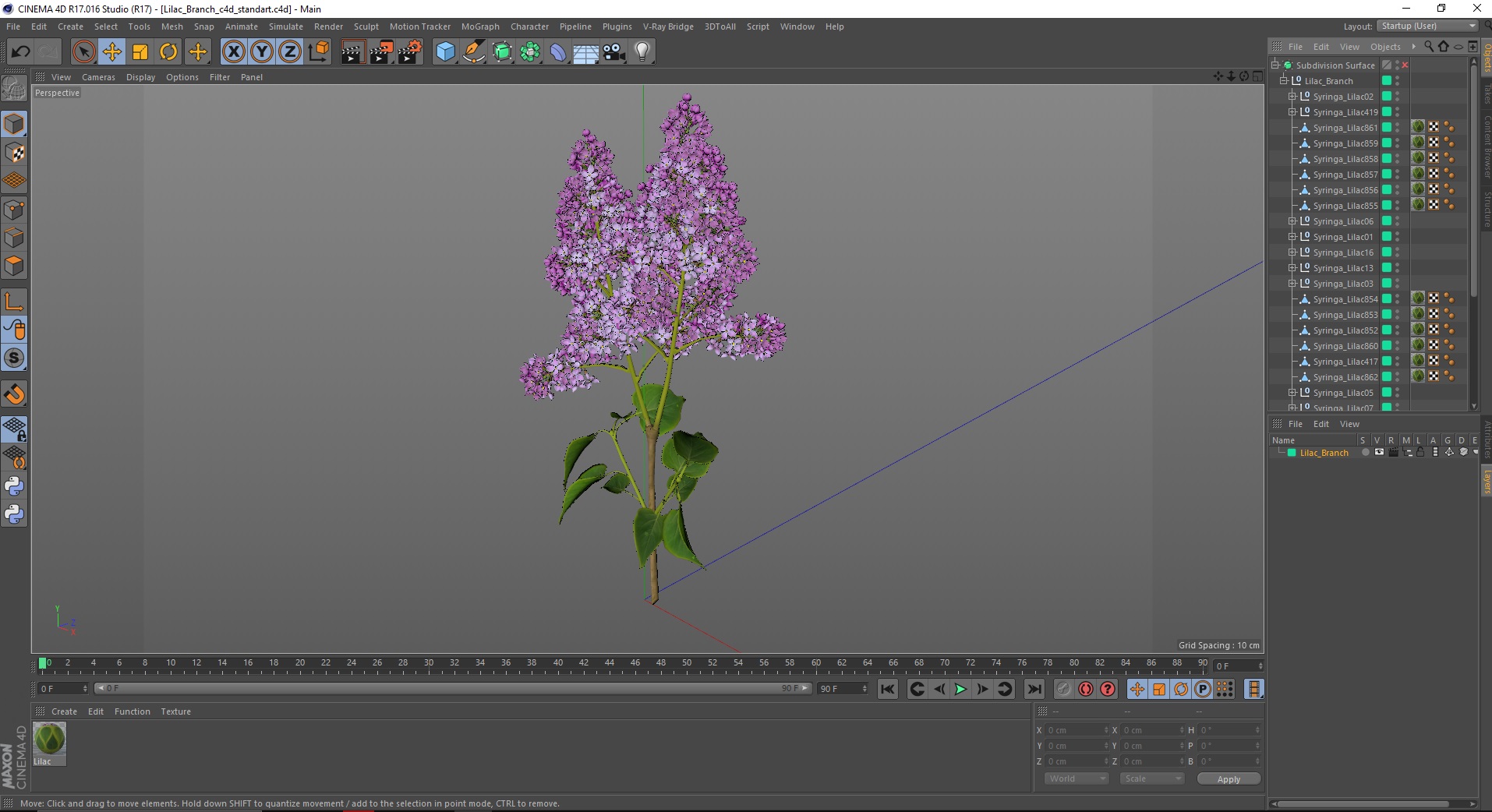 Lilac Branch 3D
