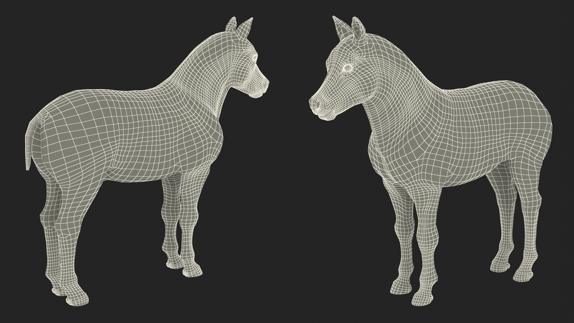 Realistic Shetland Pony Rigged for Cinema 4D 3D model