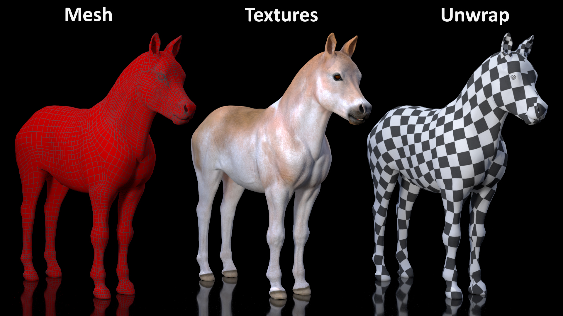 Realistic Shetland Pony Rigged for Cinema 4D 3D model