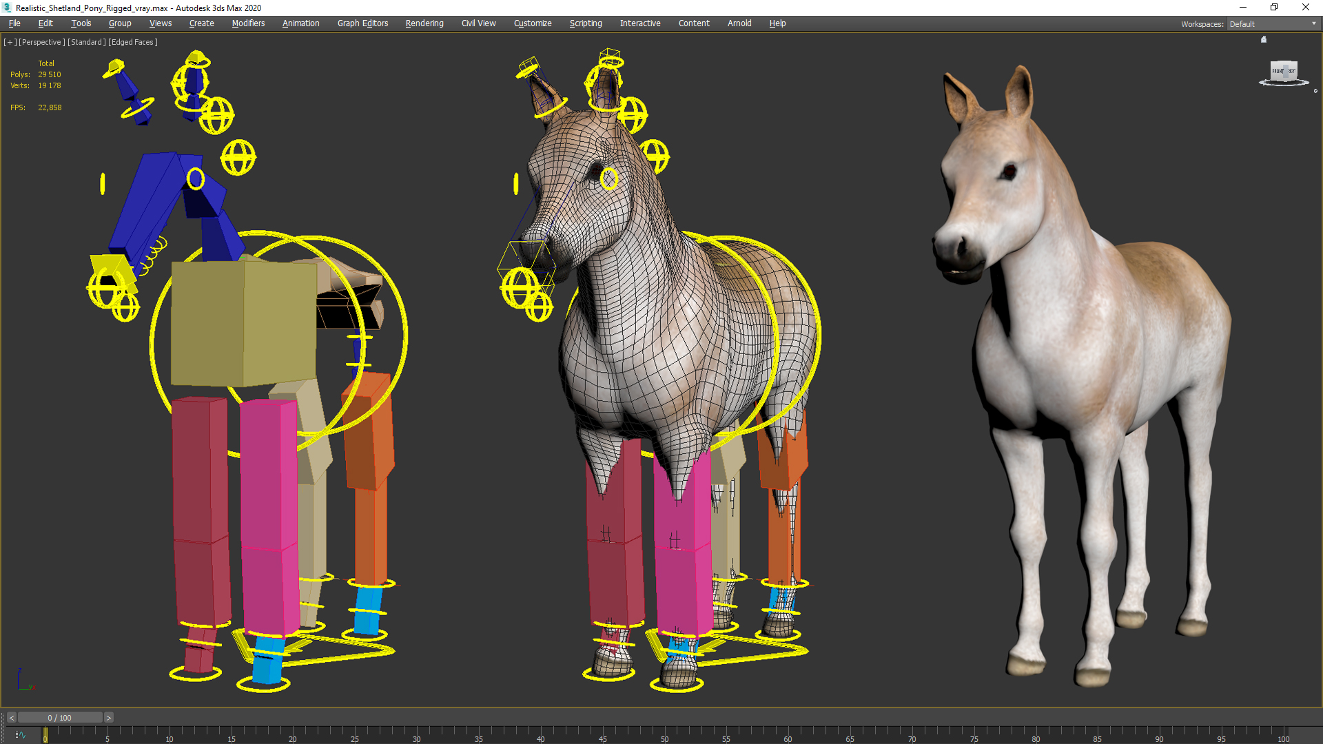 Realistic Shetland Pony Rigged for Cinema 4D 3D model