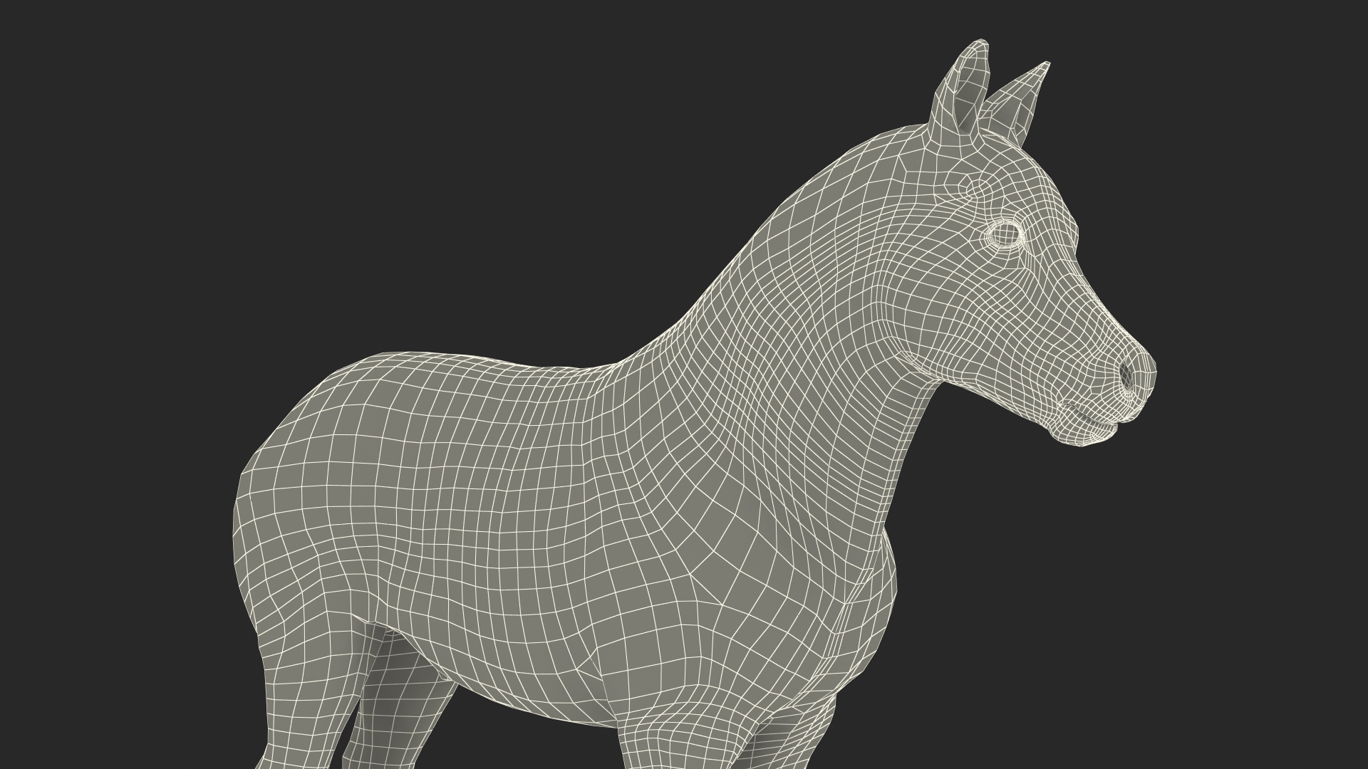 Realistic Shetland Pony Rigged for Cinema 4D 3D model