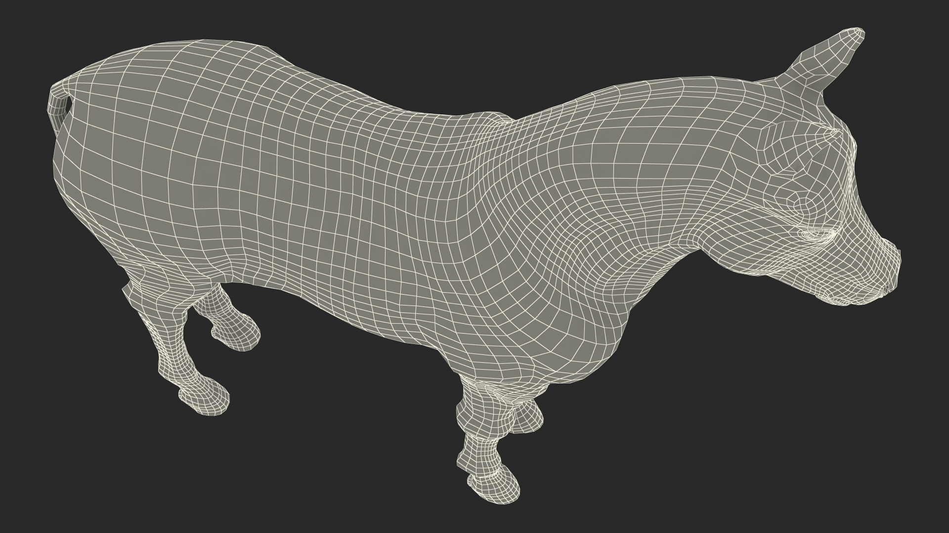 Realistic Shetland Pony Rigged for Cinema 4D 3D model