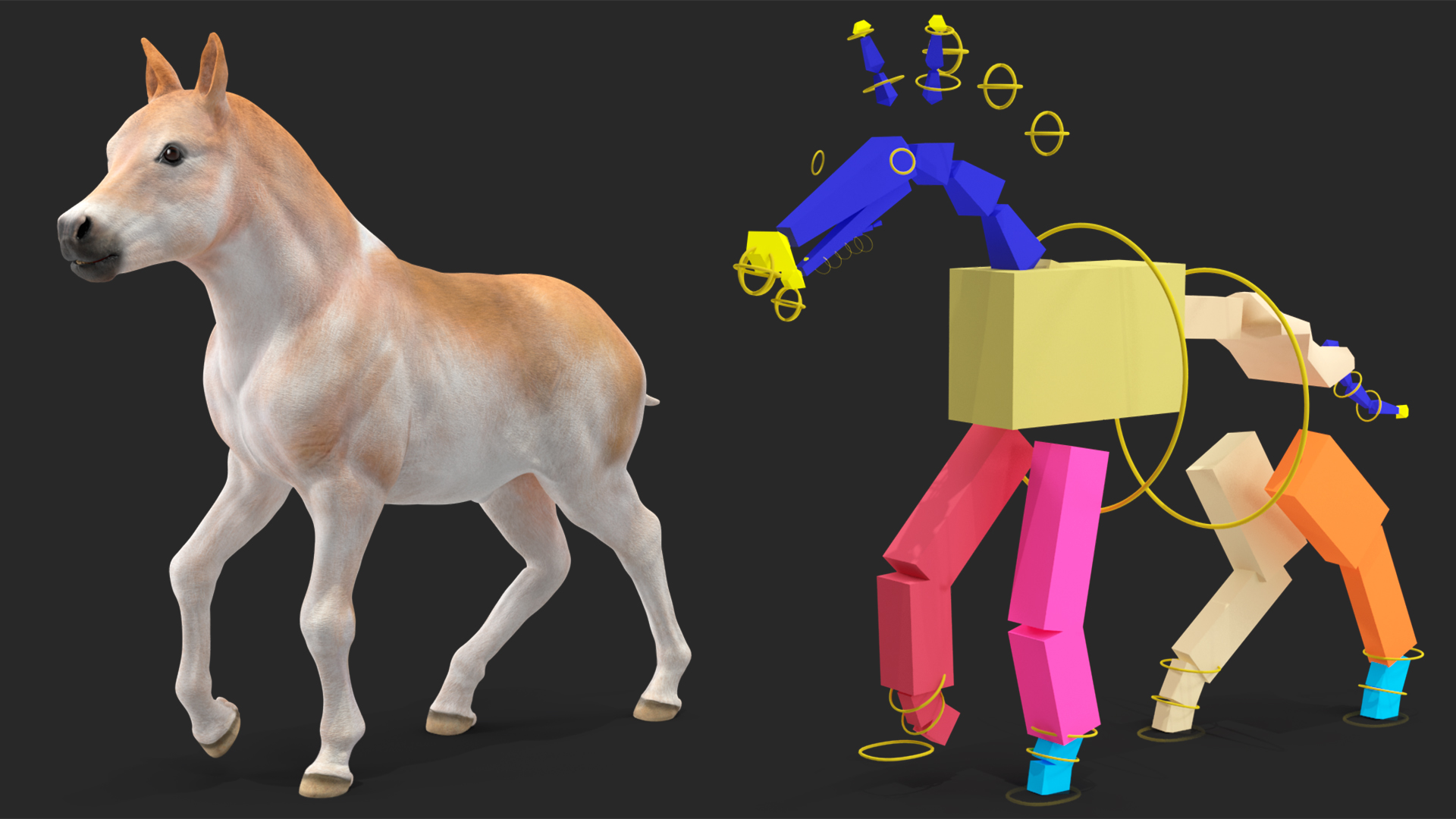 Realistic Shetland Pony Rigged for Cinema 4D 3D model