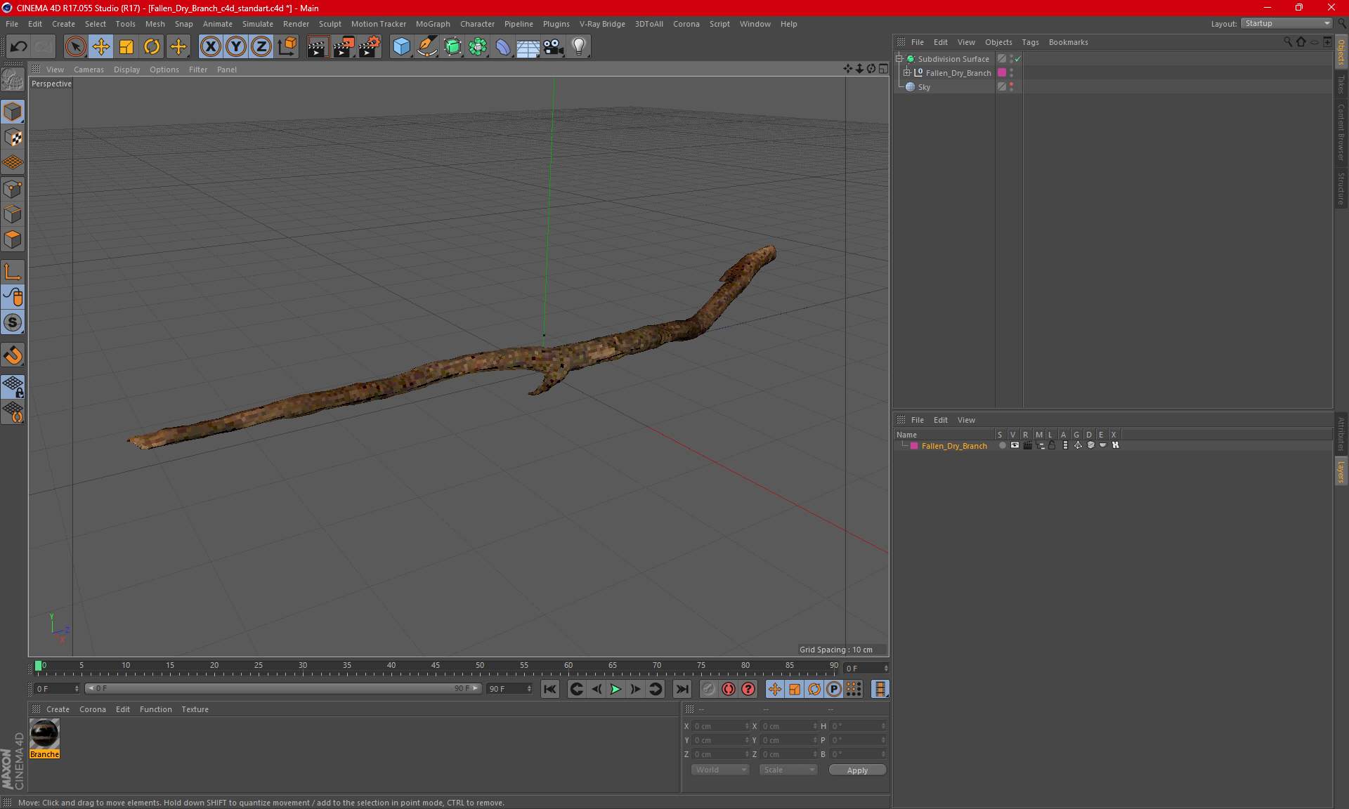 Fallen Dry Branch 3D