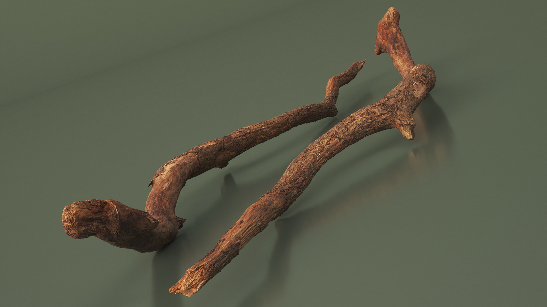 Fallen Dry Branch 3D