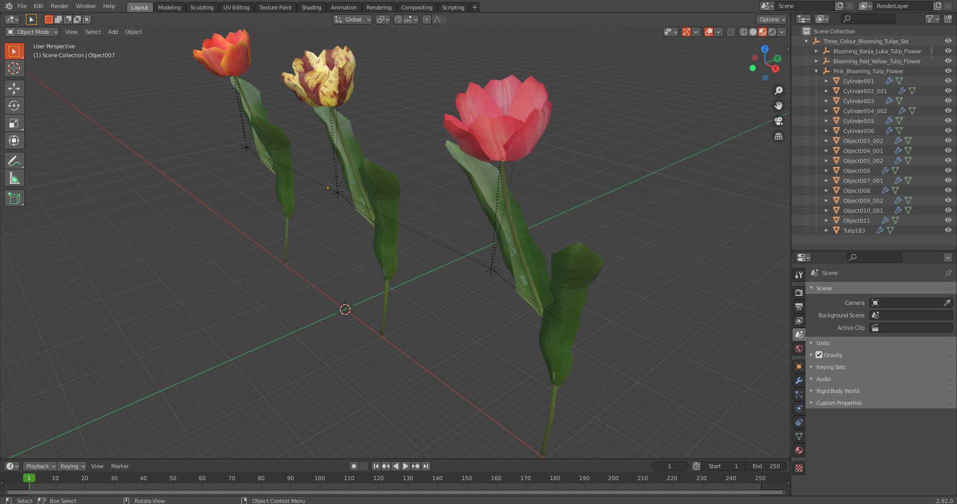 Three Colour Blooming Tulips Set 3D