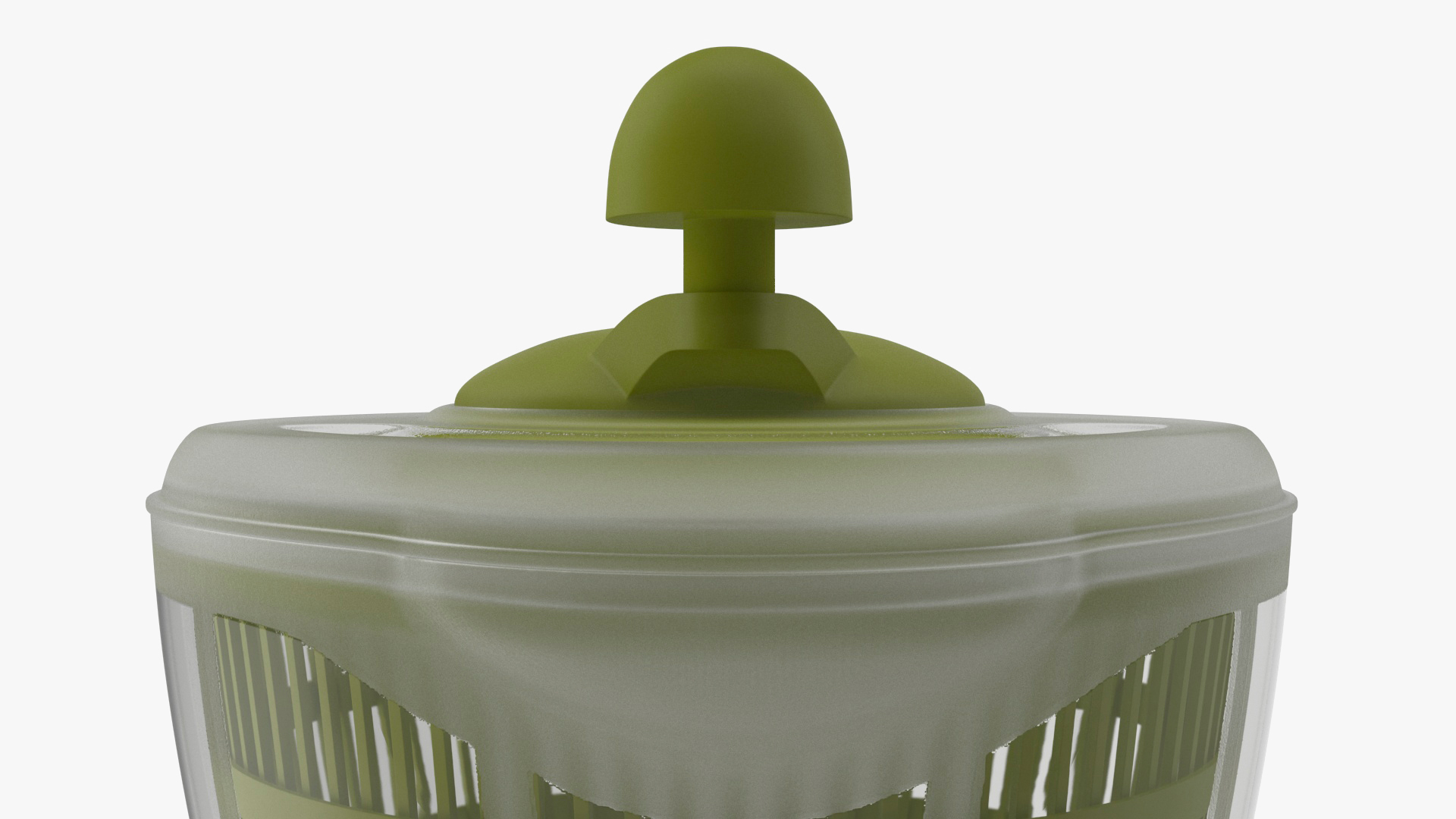 Plastic Salad Spinner Green 3D