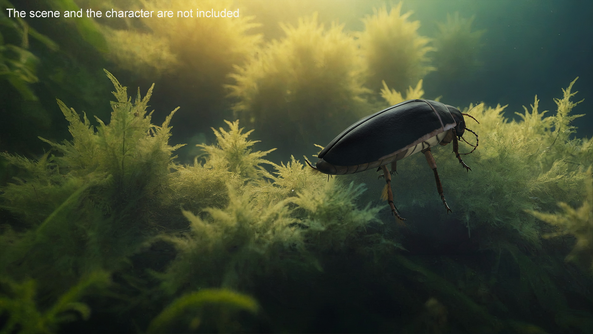 Screech Beetle Black Rigged 3D