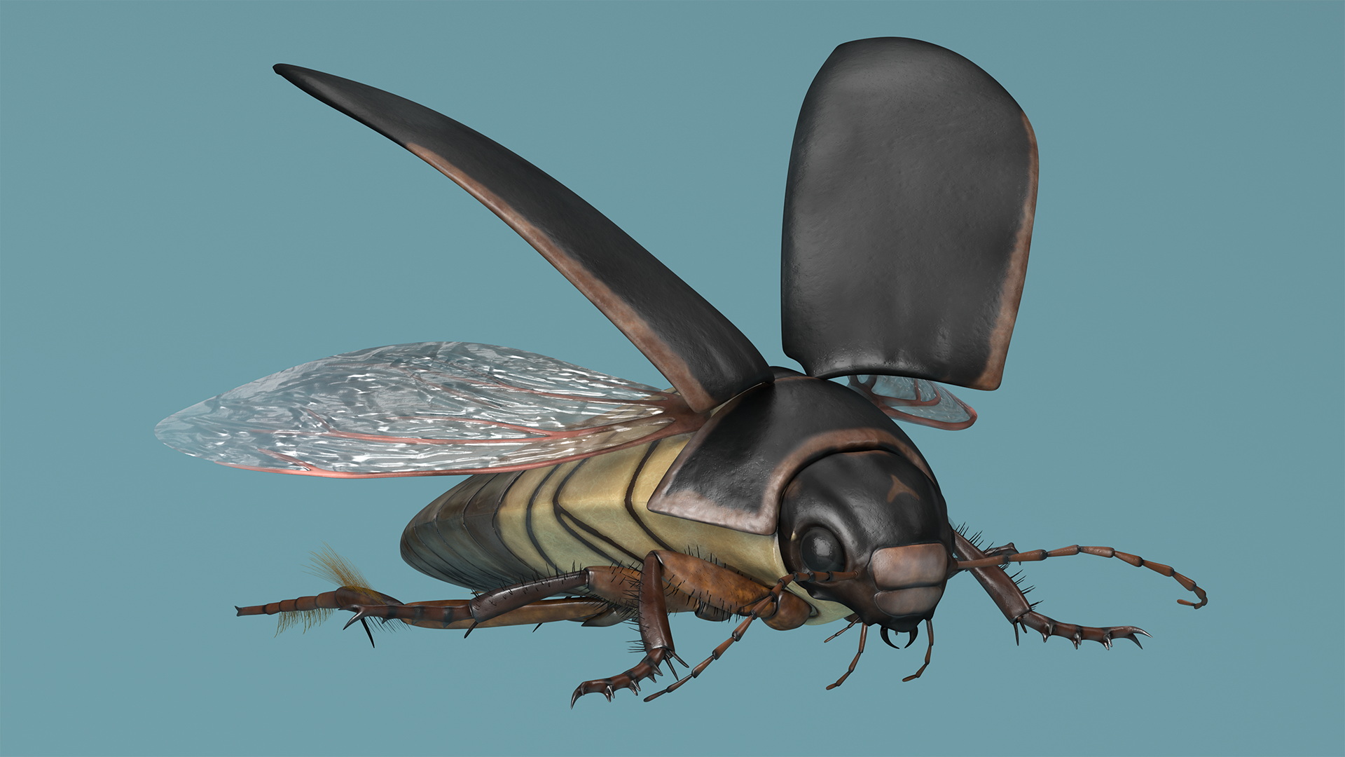 Screech Beetle Black Rigged 3D