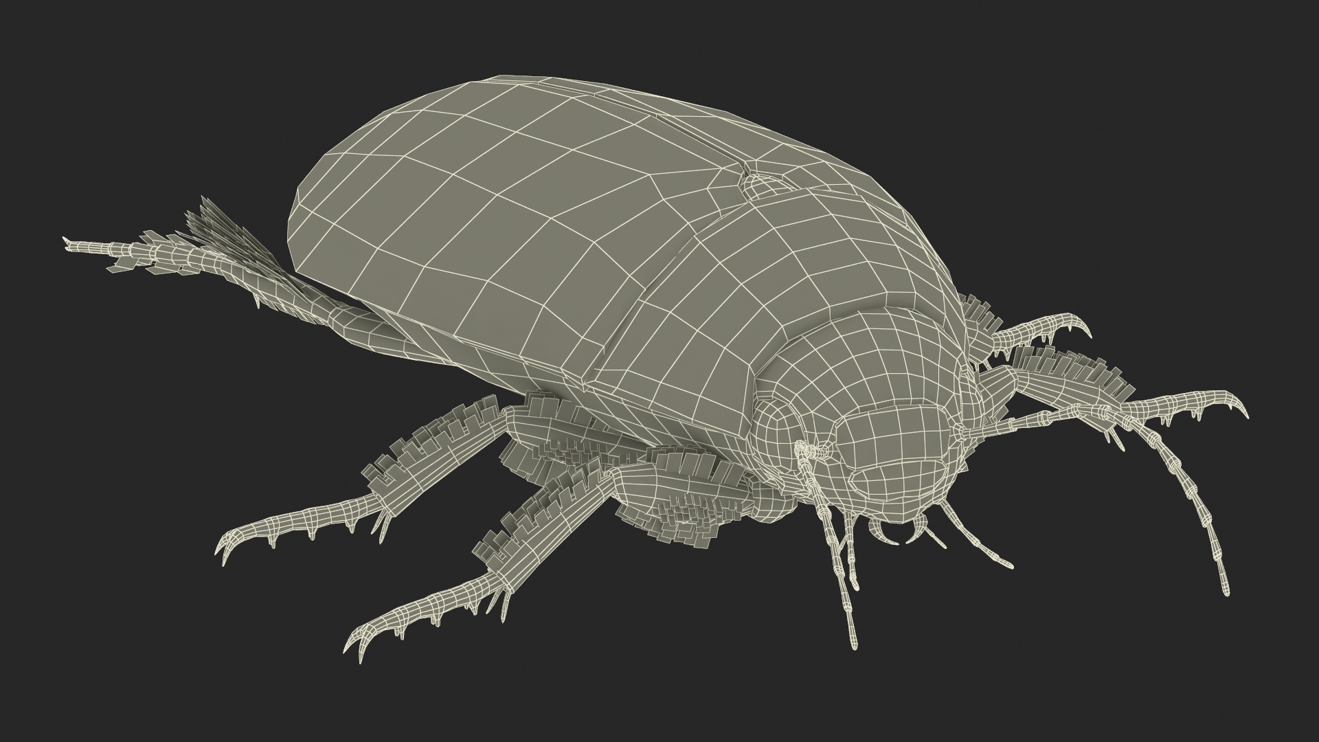 Screech Beetle Black Rigged 3D