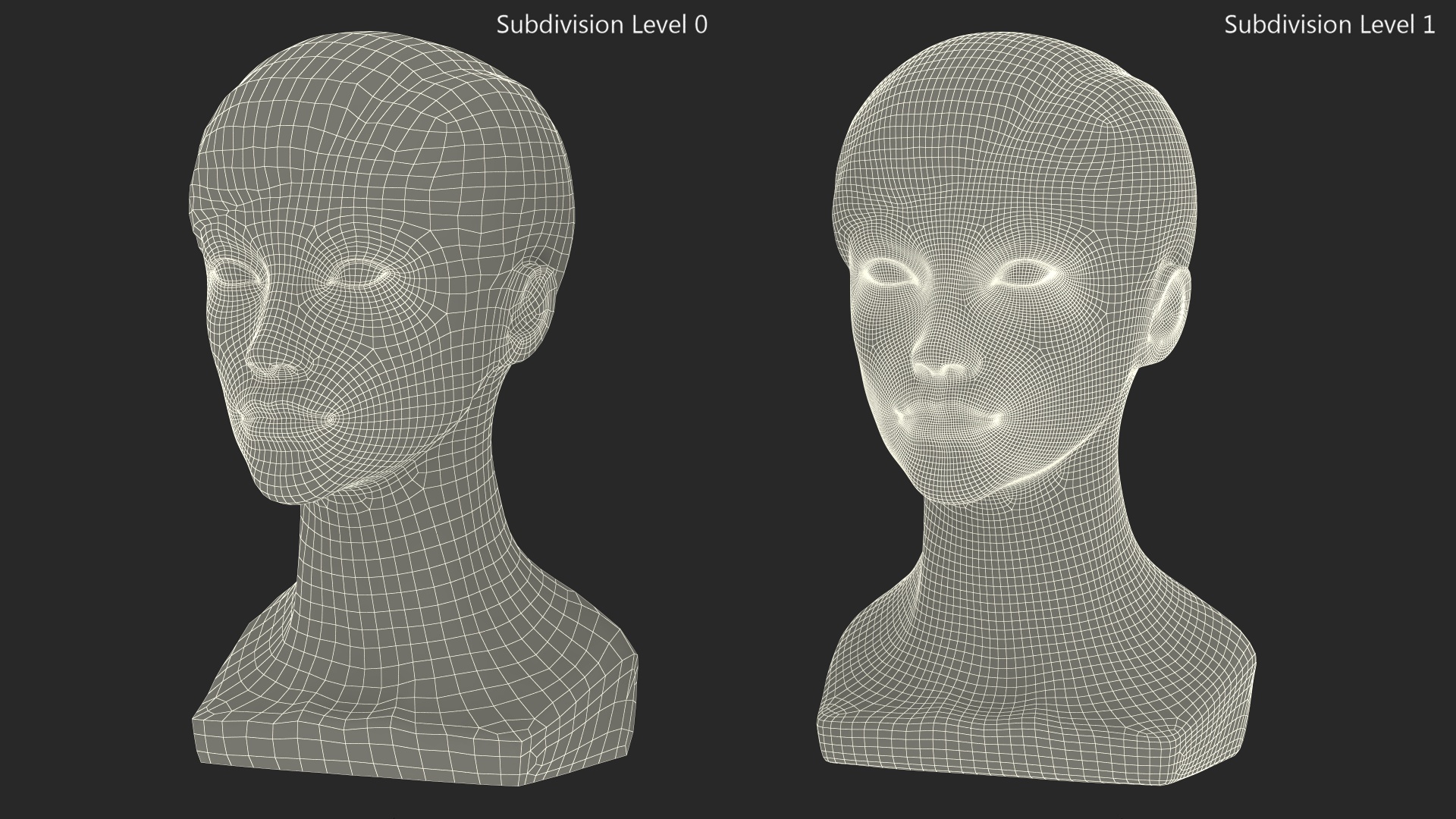 3D Woman Mannequin Head with Hair Black