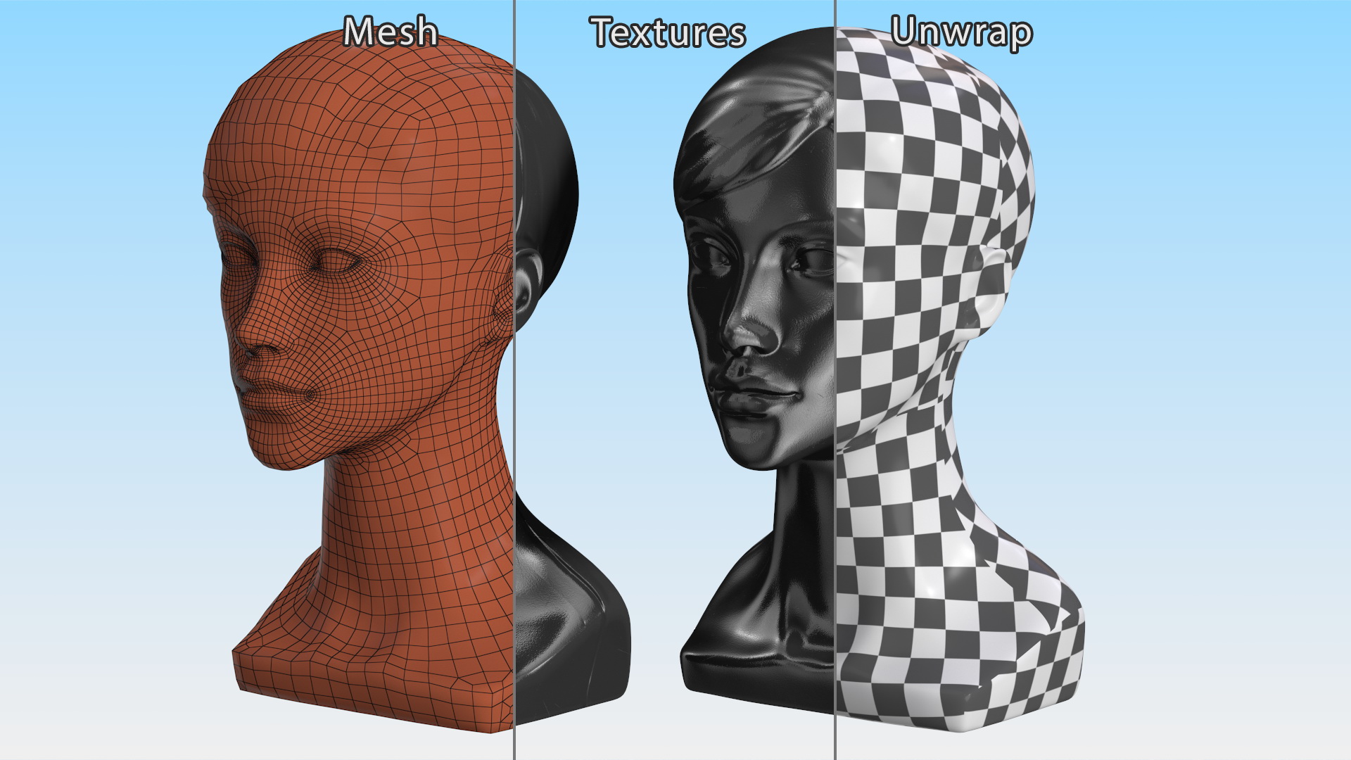 3D Woman Mannequin Head with Hair Black