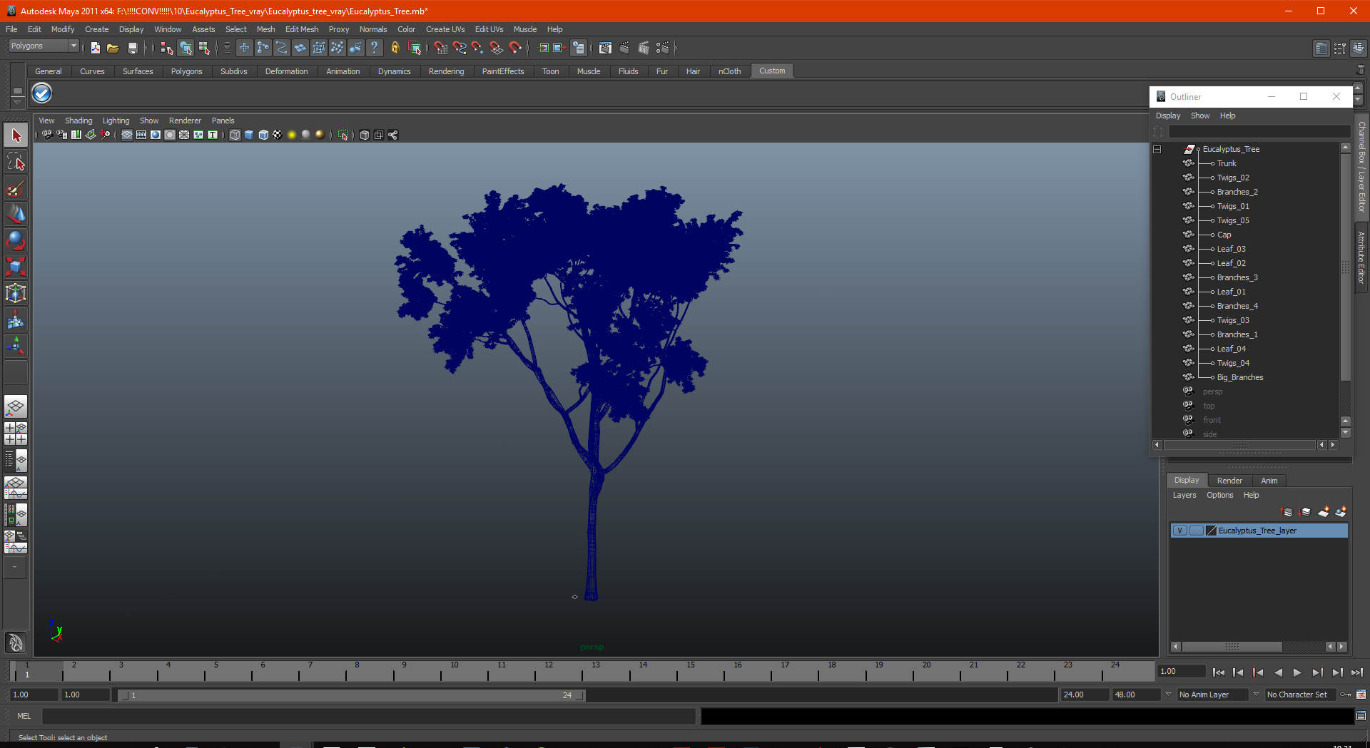 3D model Eucalyptus Tree