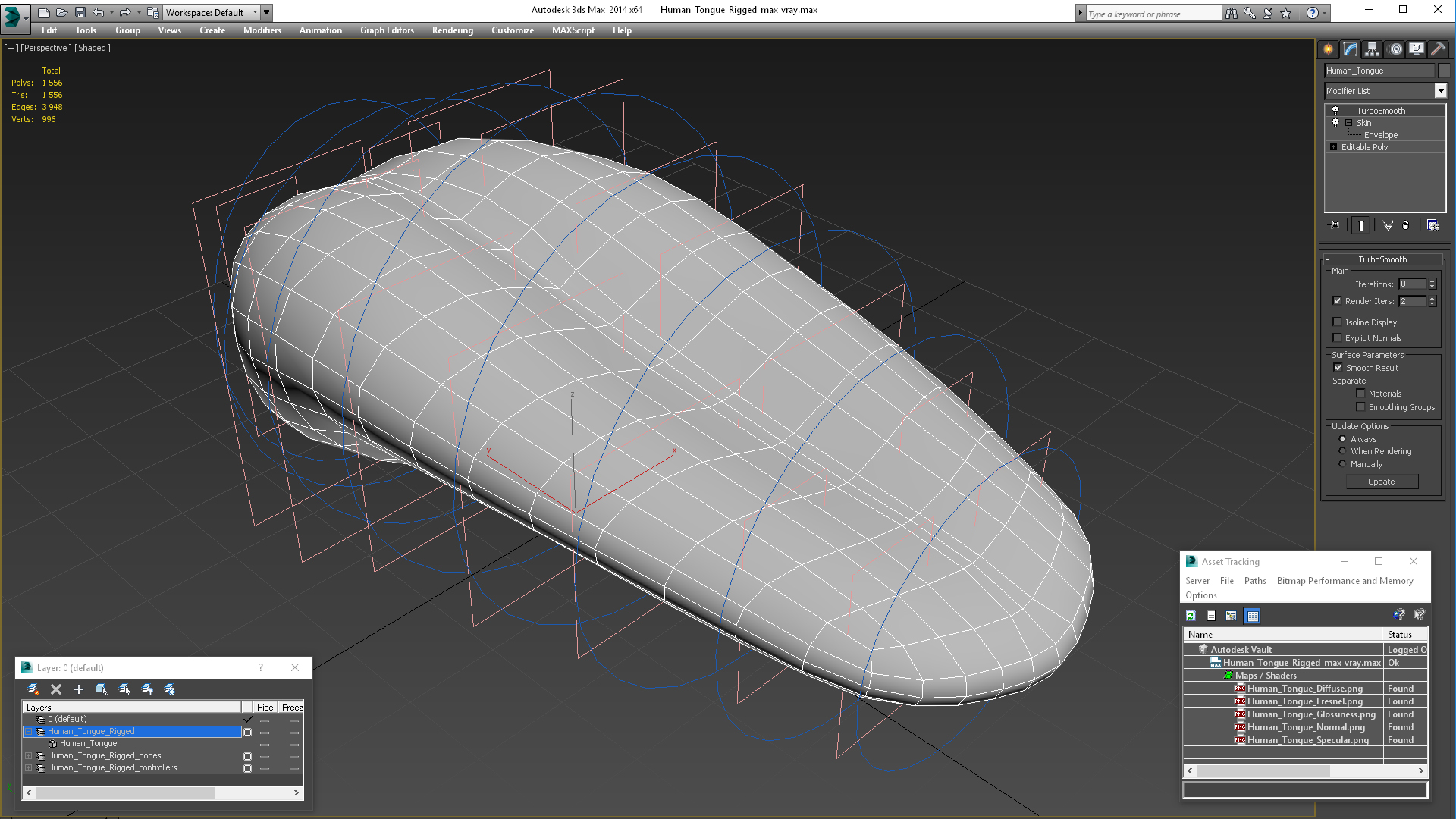 3D Human Tongue Rigged for Maya model