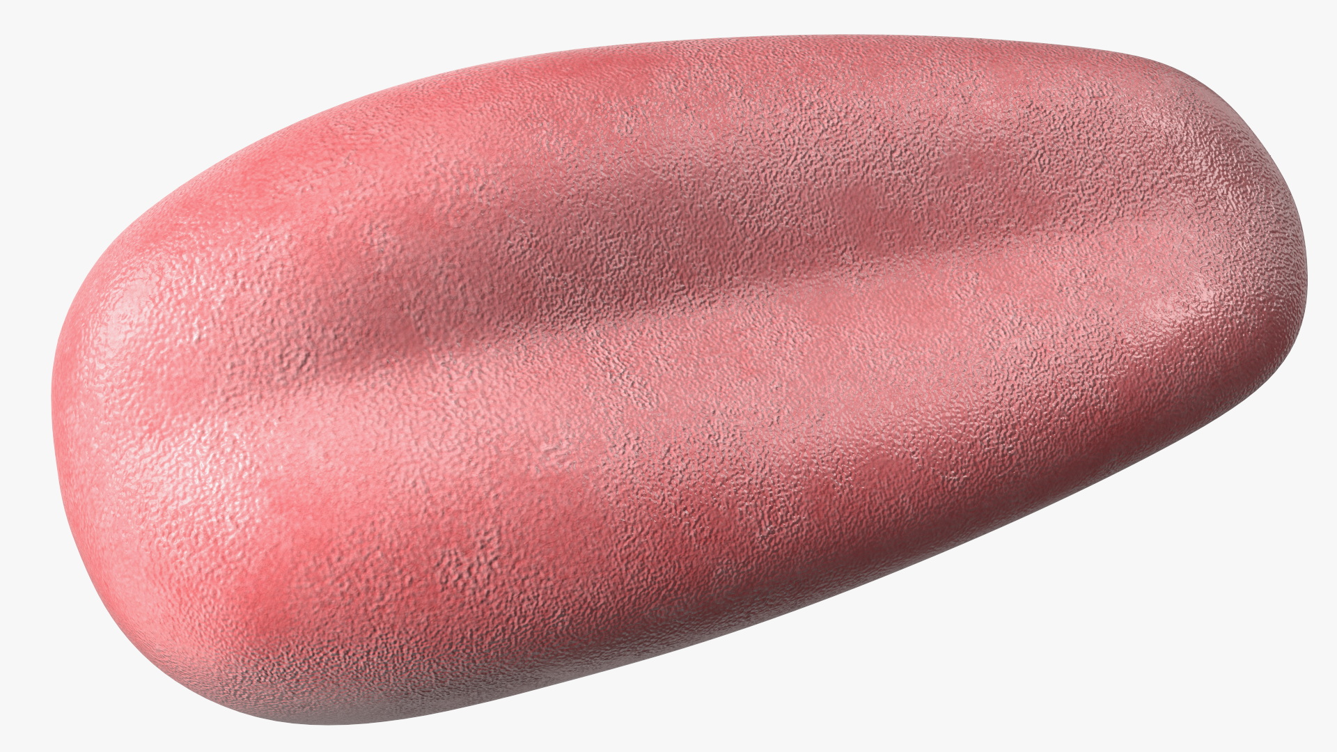 3D Human Tongue Rigged for Maya model