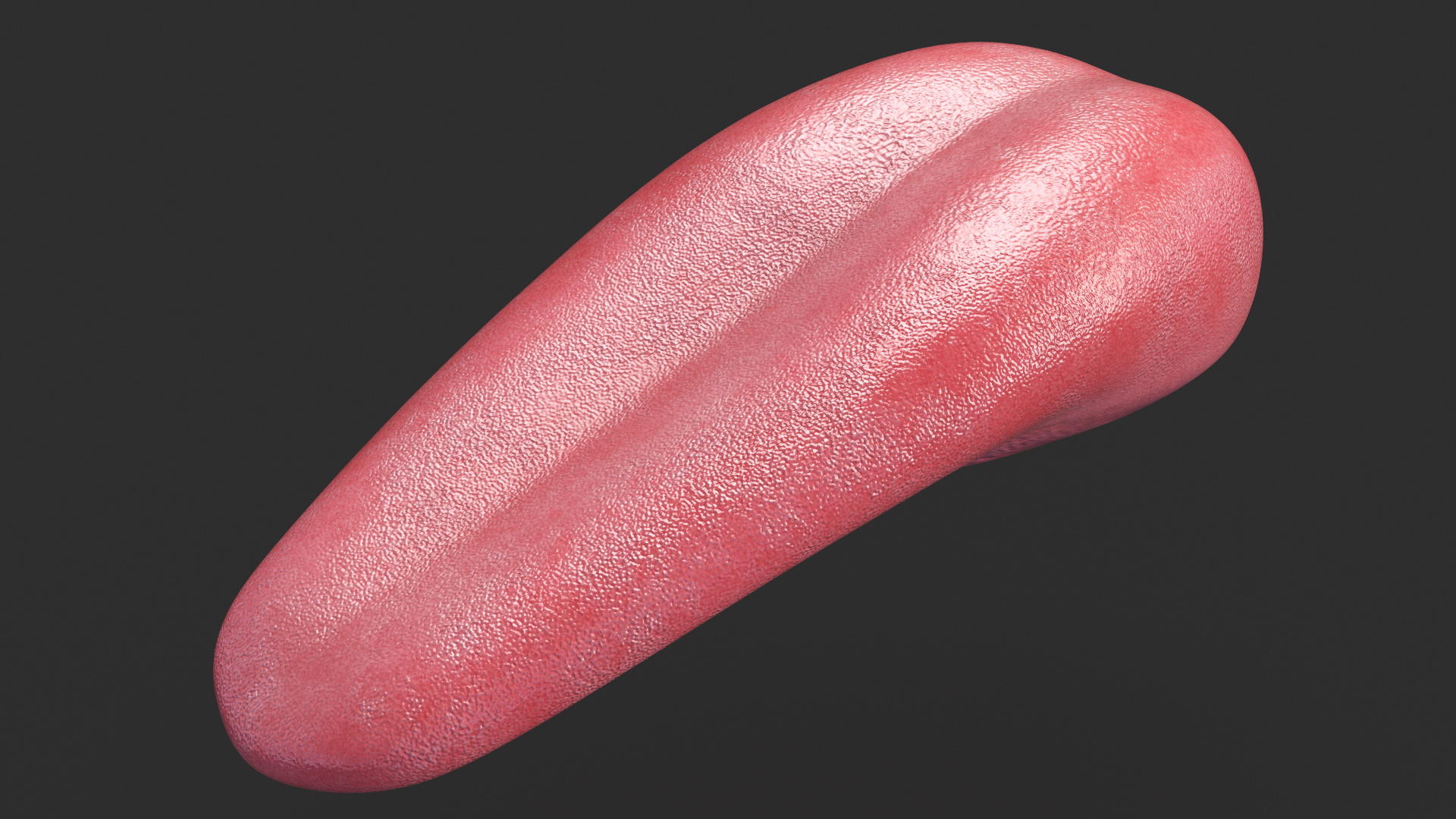 3D Human Tongue Rigged for Maya model