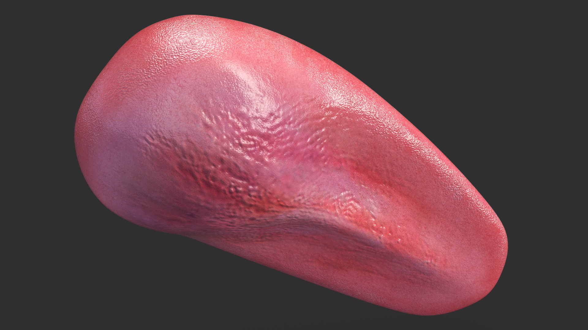 3D Human Tongue Rigged for Maya model