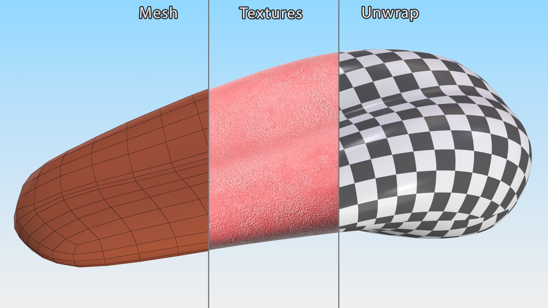 3D Human Tongue Rigged for Maya model