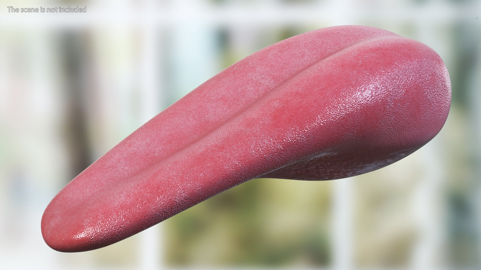 3D Human Tongue Rigged for Maya model