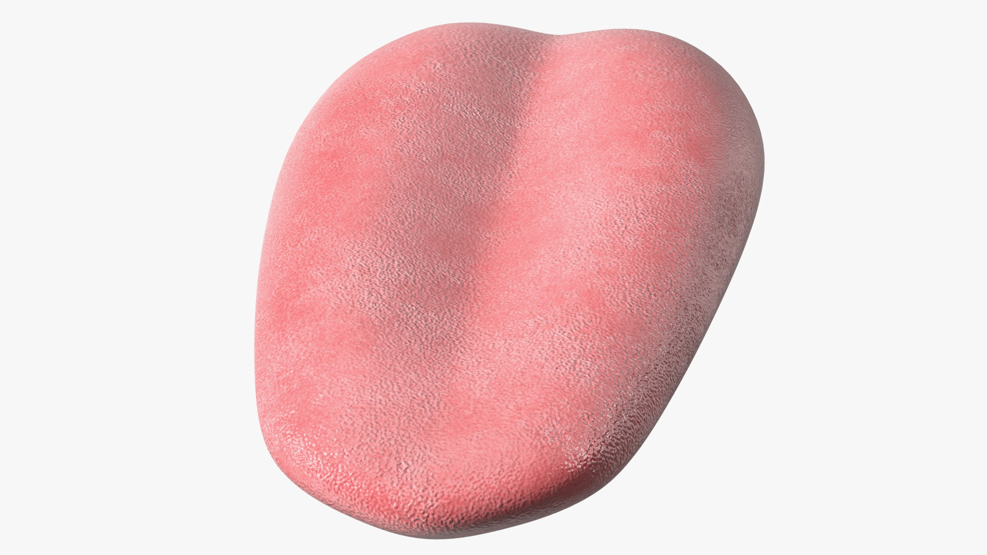 3D Human Tongue Rigged for Maya model