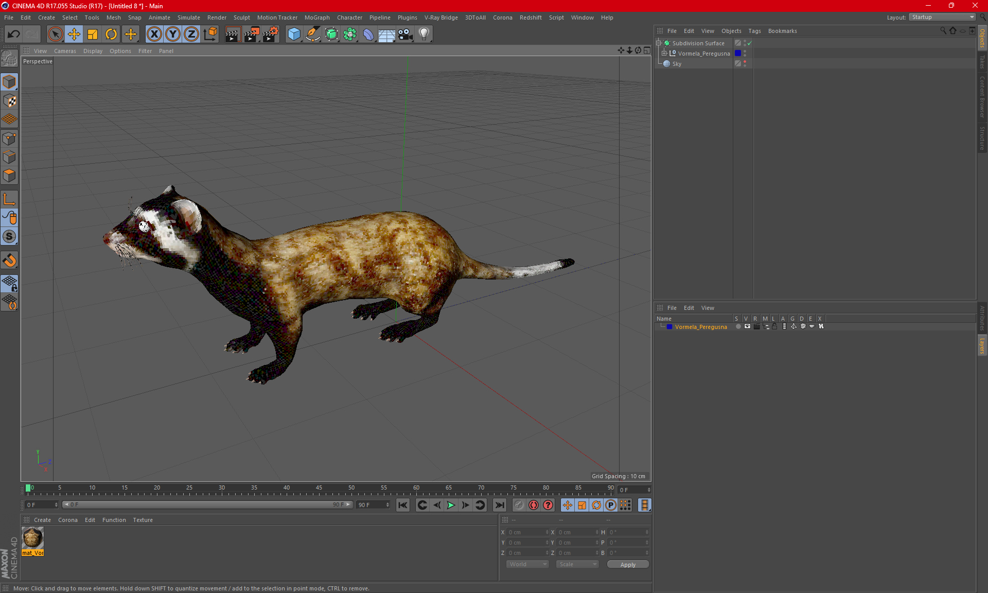 Vormela Peregusna 3D