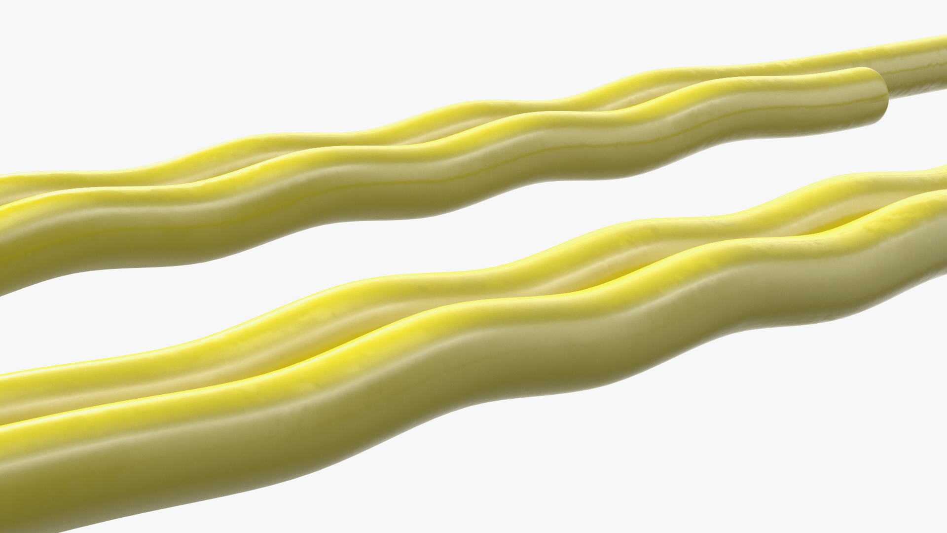 Paper Clip Wavy Shape Color 3D