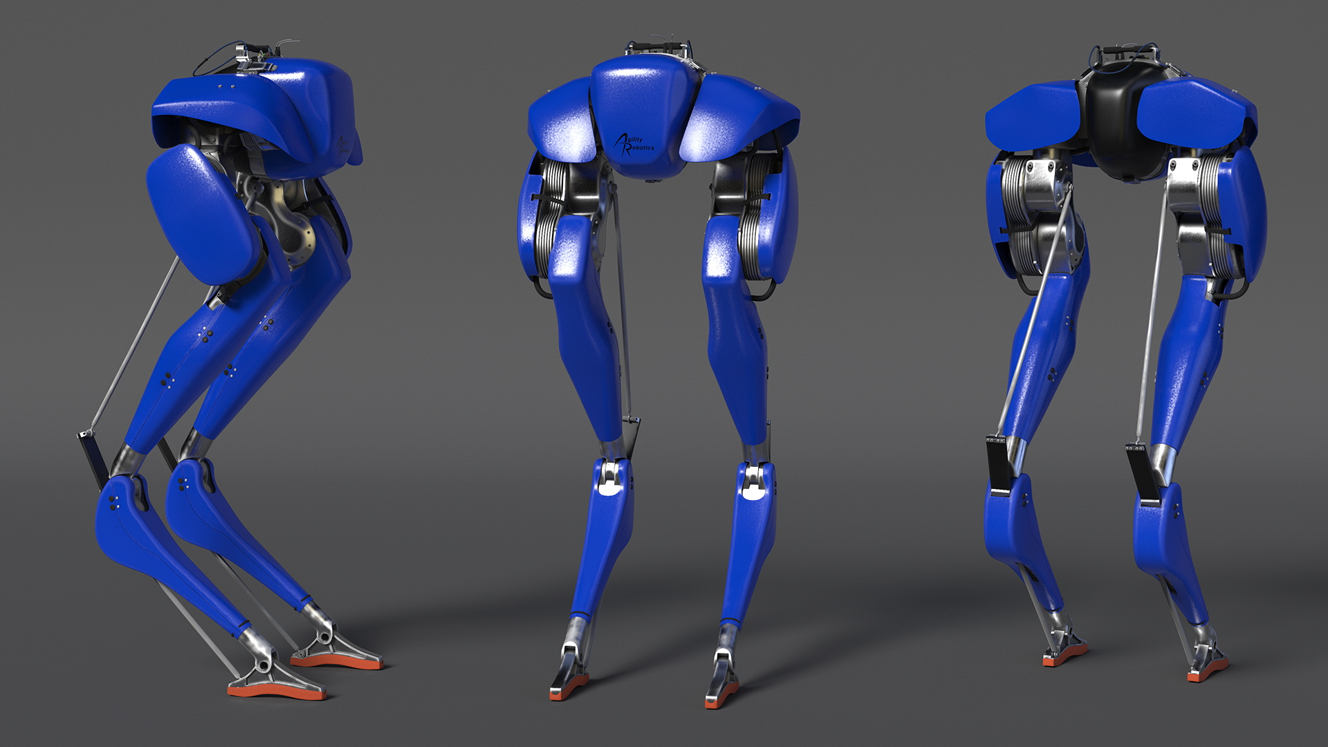 3D Two-legged Cassie Robot Blue model