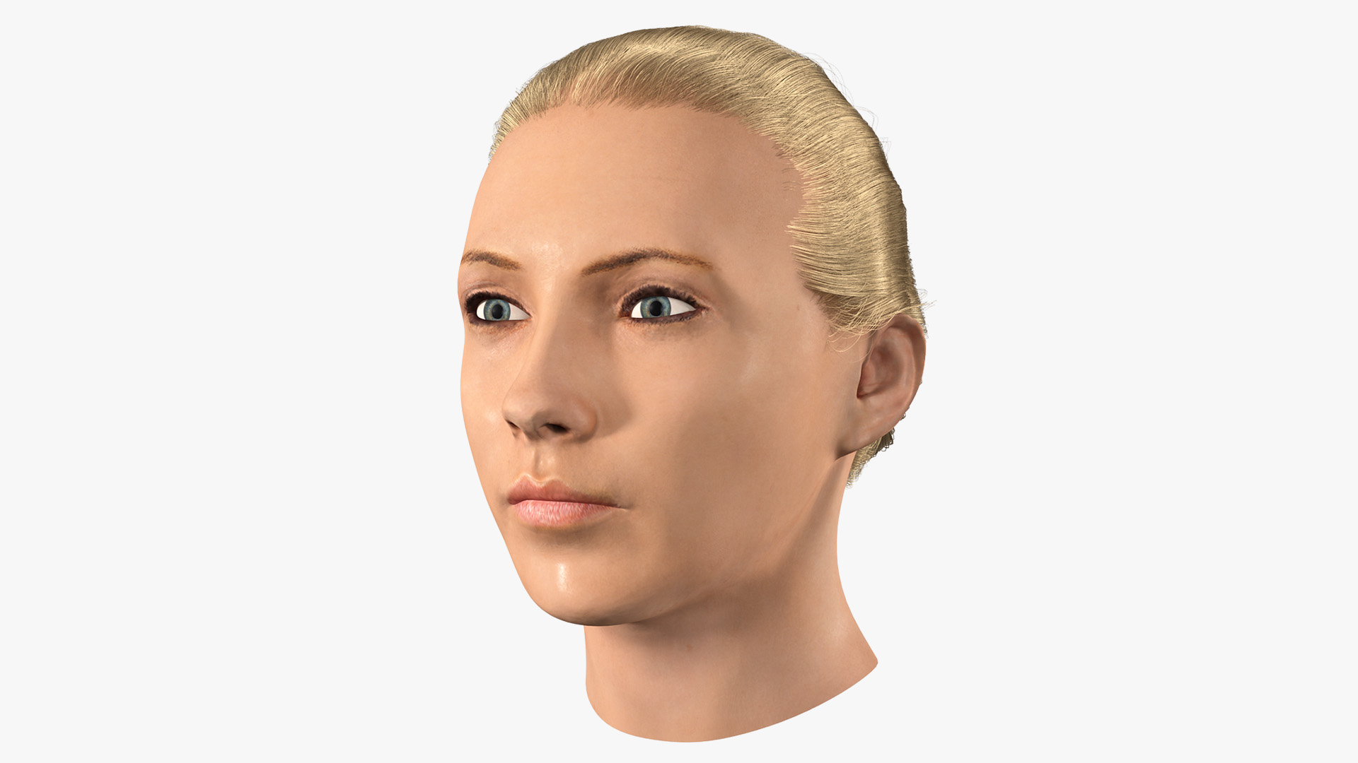 3D model Female Head Fur