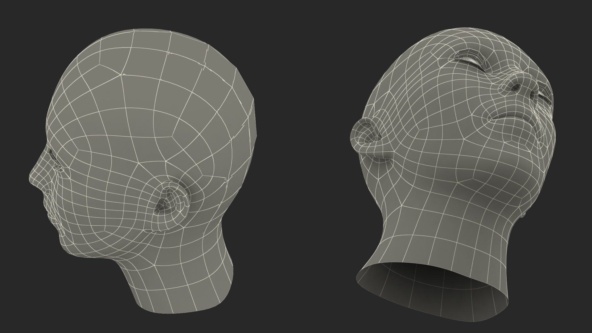 3D model Female Head Fur