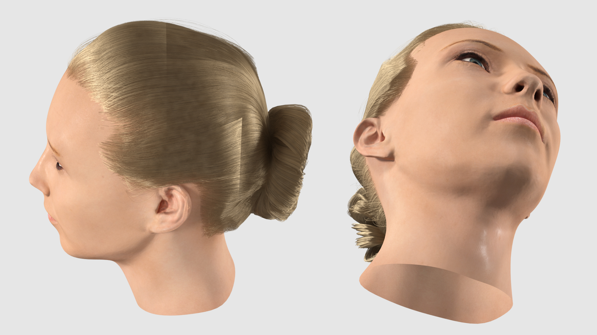3D model Female Head Fur
