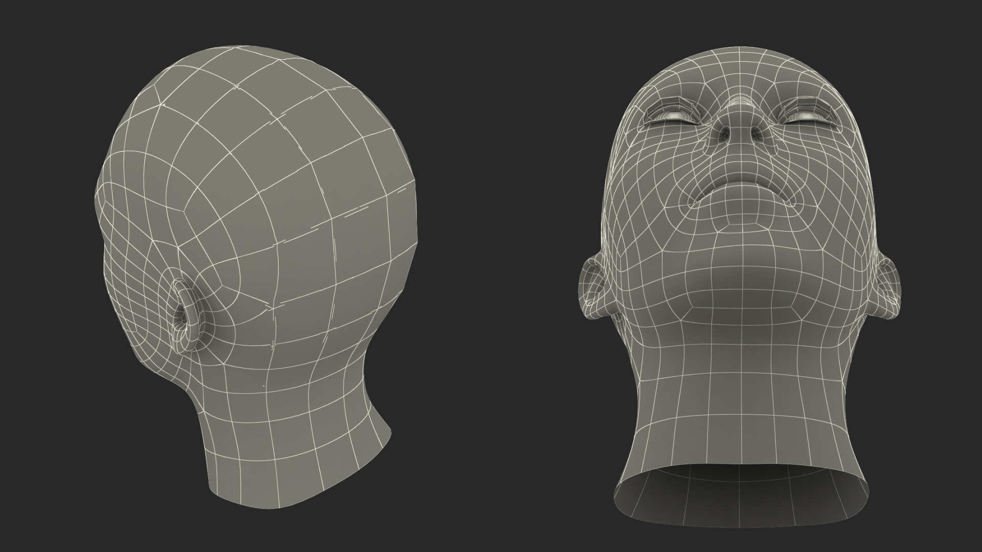 3D model Female Head Fur