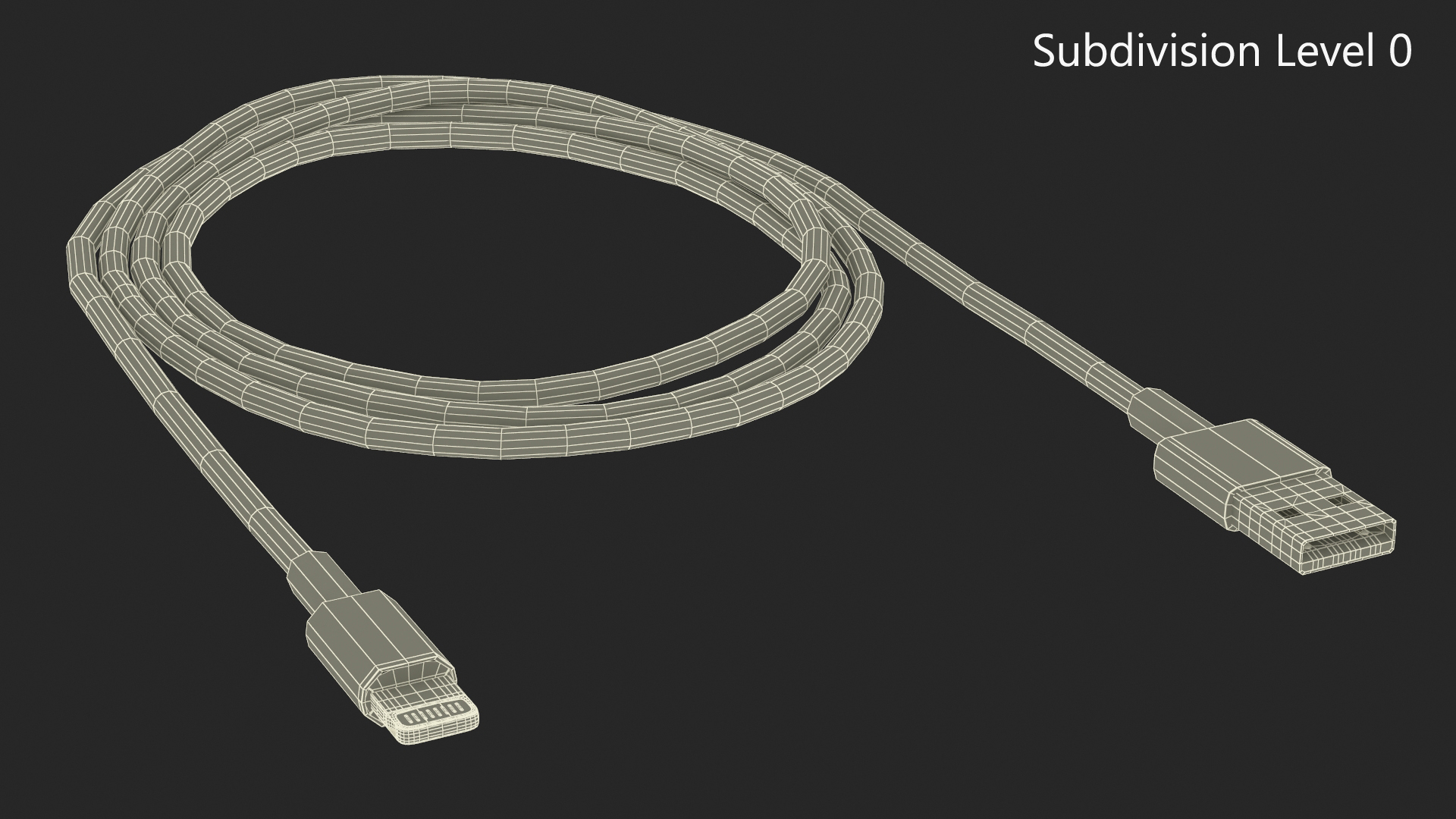 Lightning Connector to USB Cable 3D