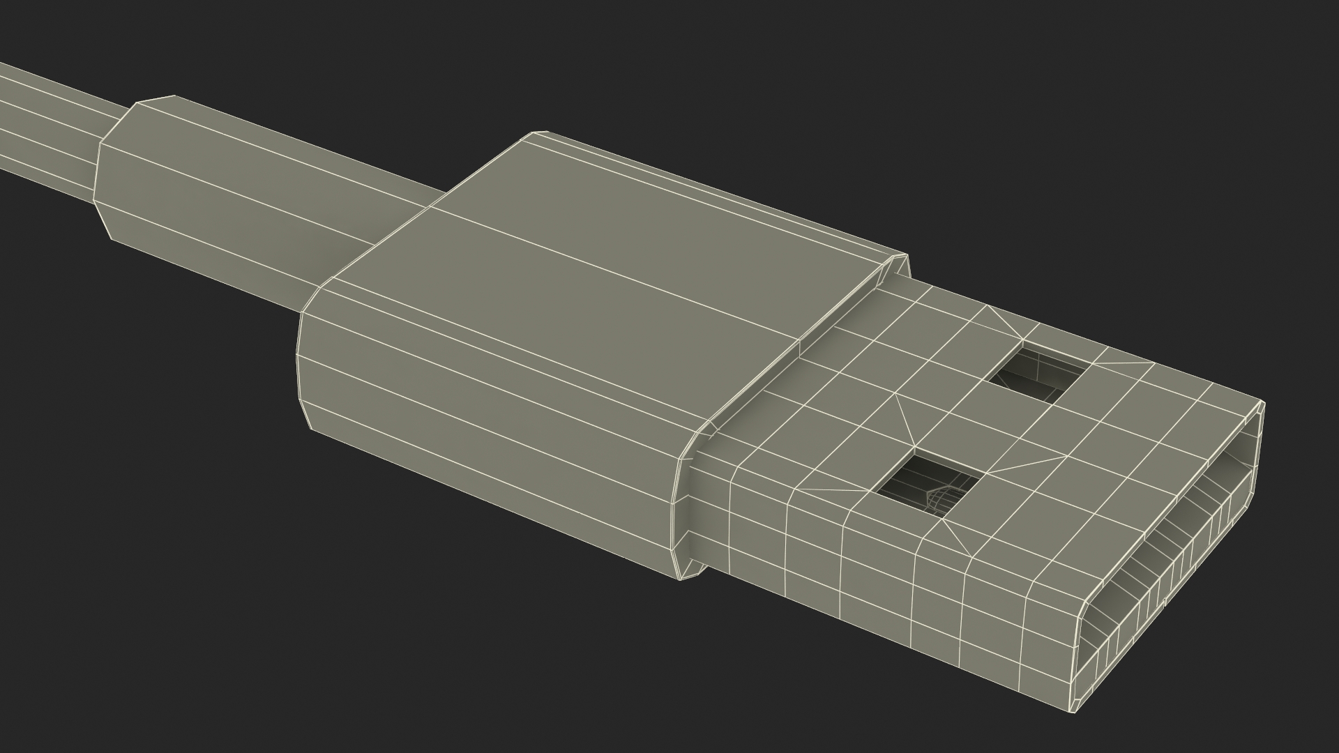 Lightning Connector to USB Cable 3D