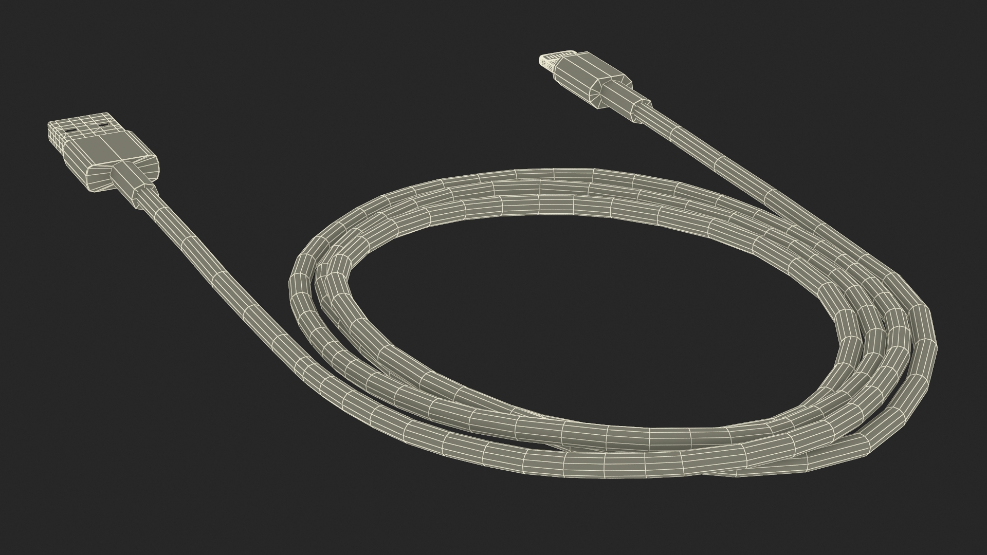 Lightning Connector to USB Cable 3D