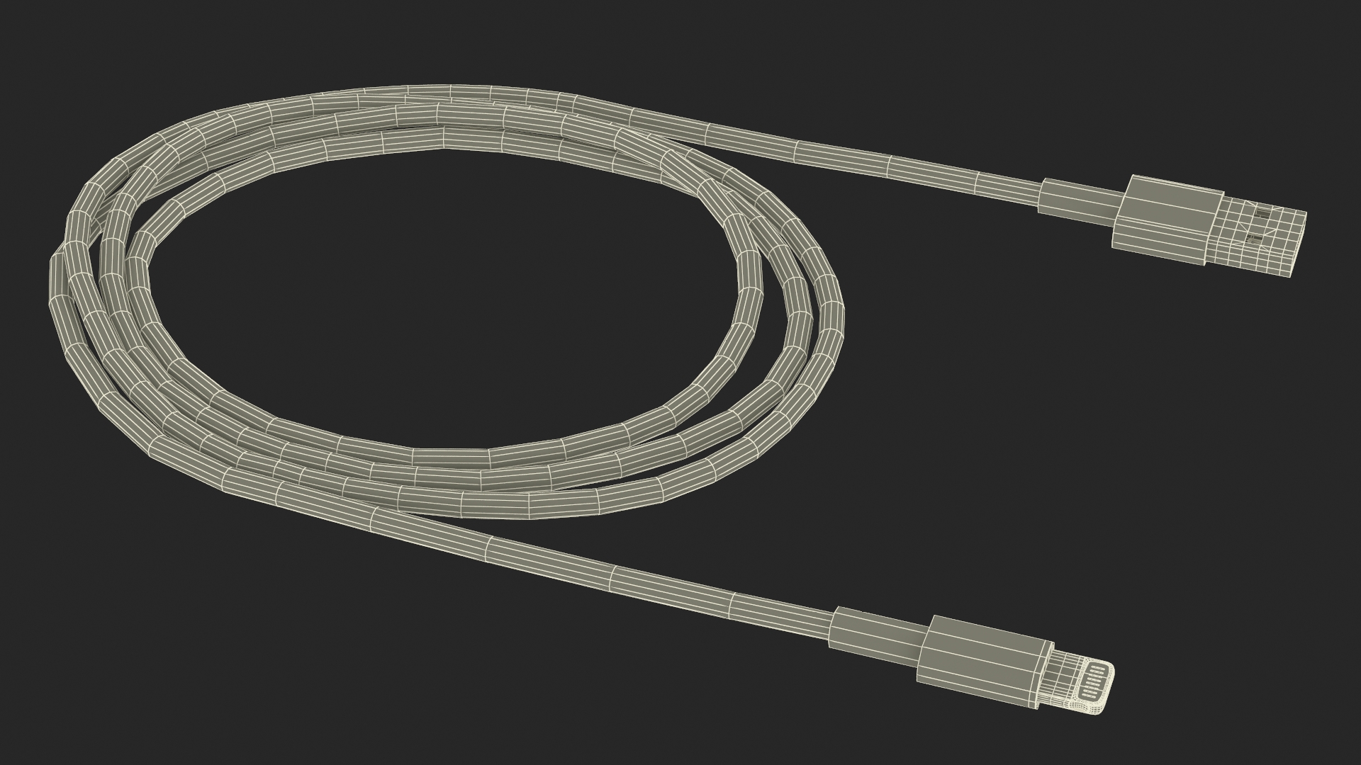 Lightning Connector to USB Cable 3D